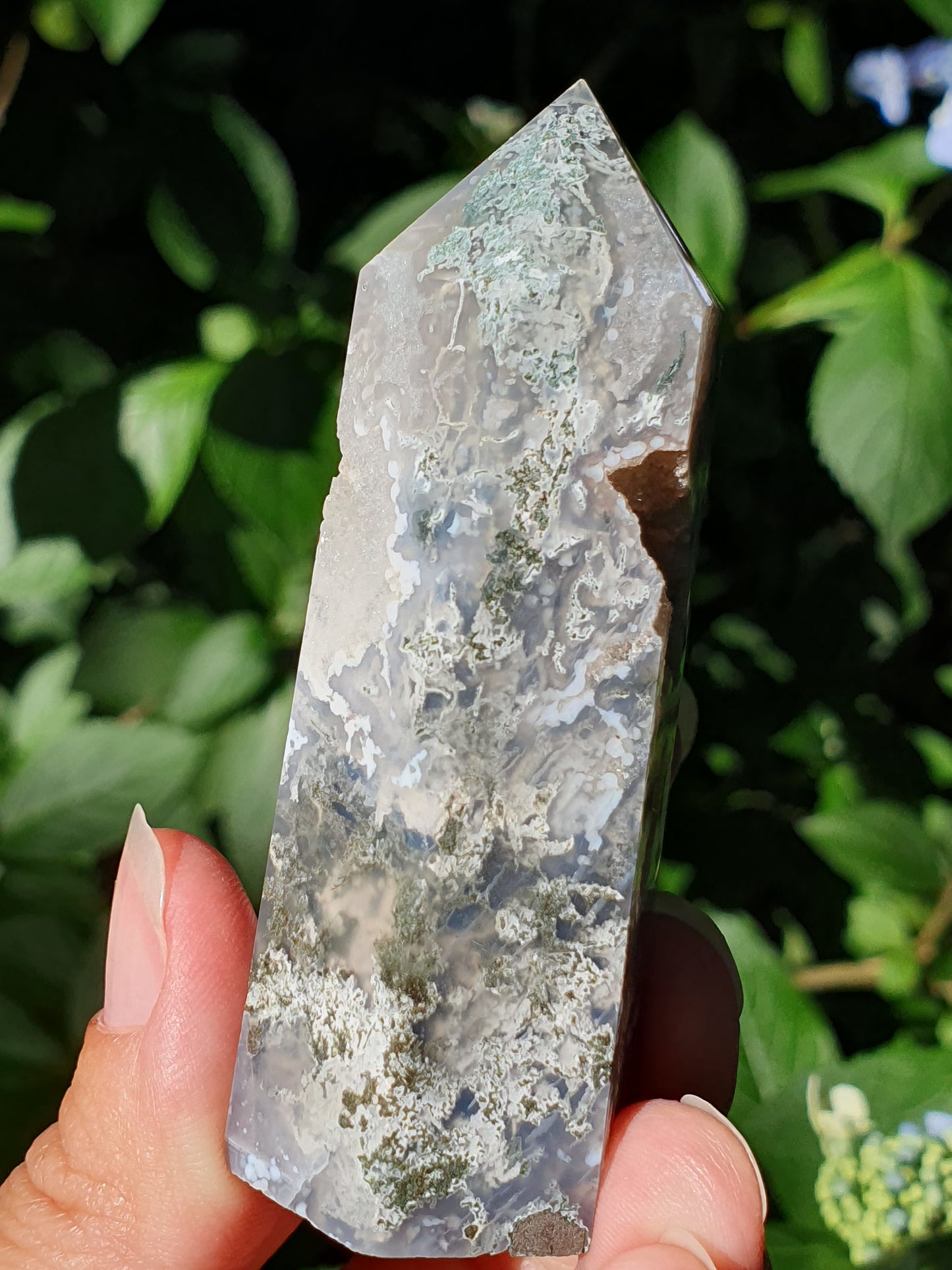 Pointe Agate mousse B