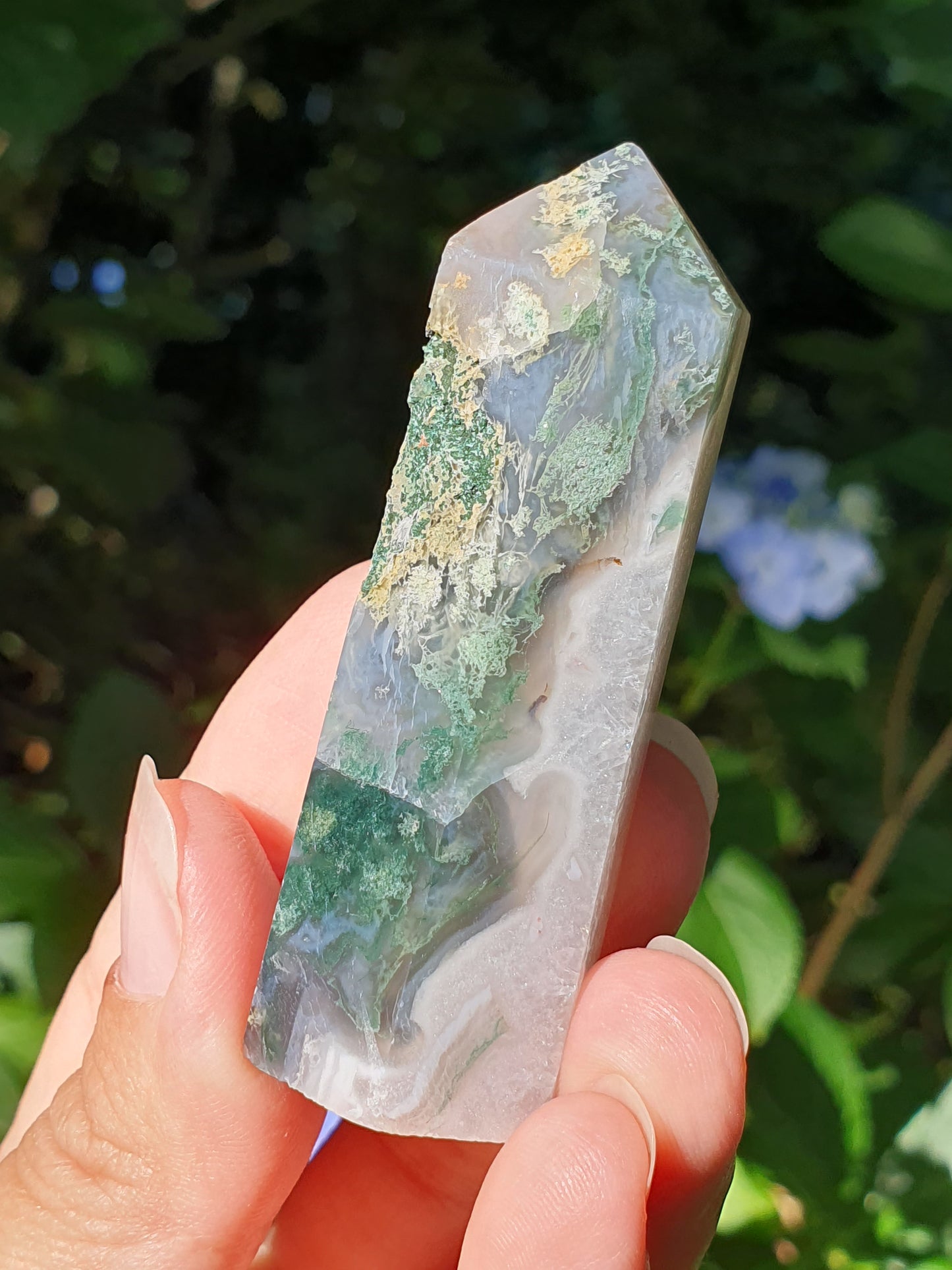 Pointe Agate mousse E