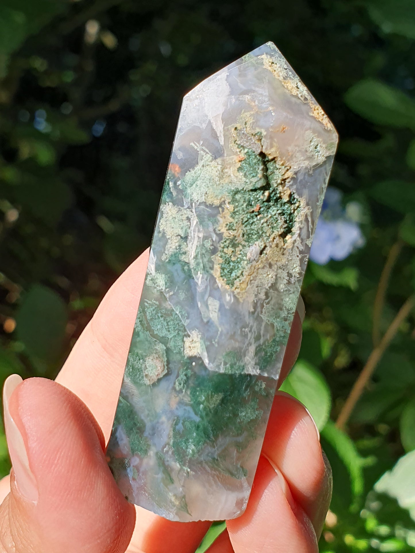 Pointe Agate mousse E