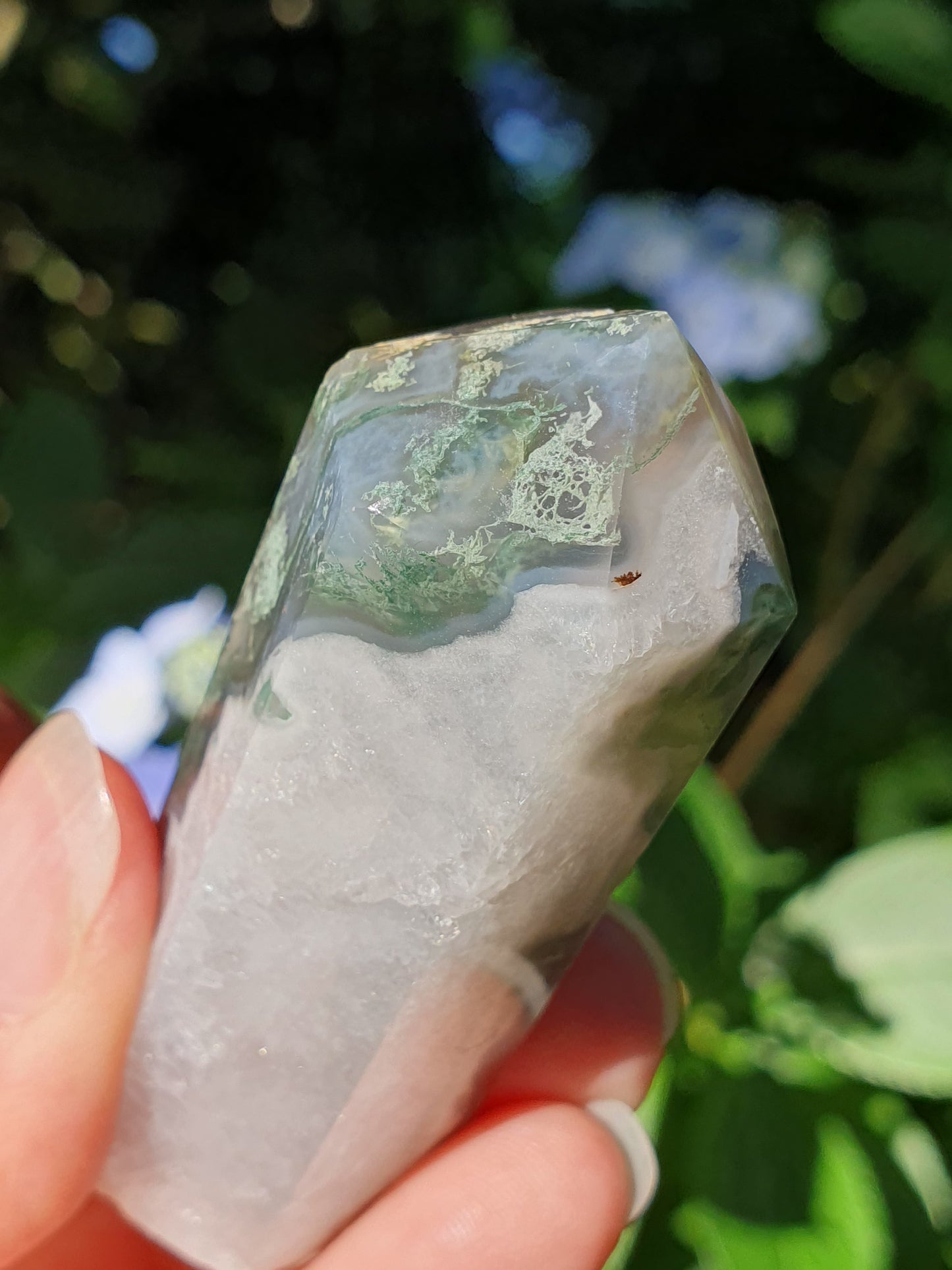 Pointe Agate mousse E