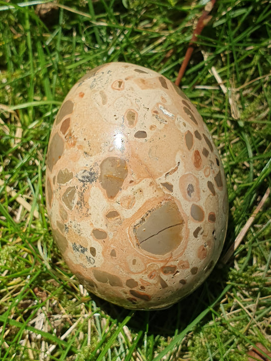 Oeuf Léopardite / Jaspe léopard LI