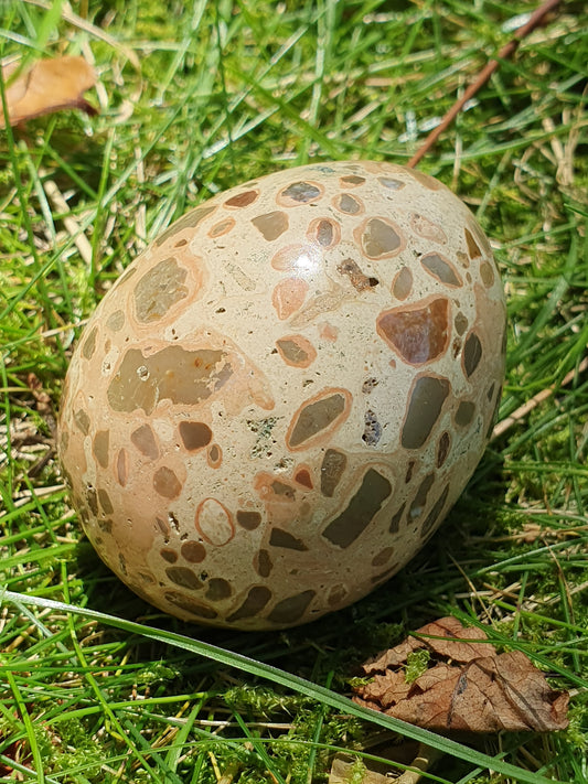 Oeuf Léopardite / Jaspe léopard LK