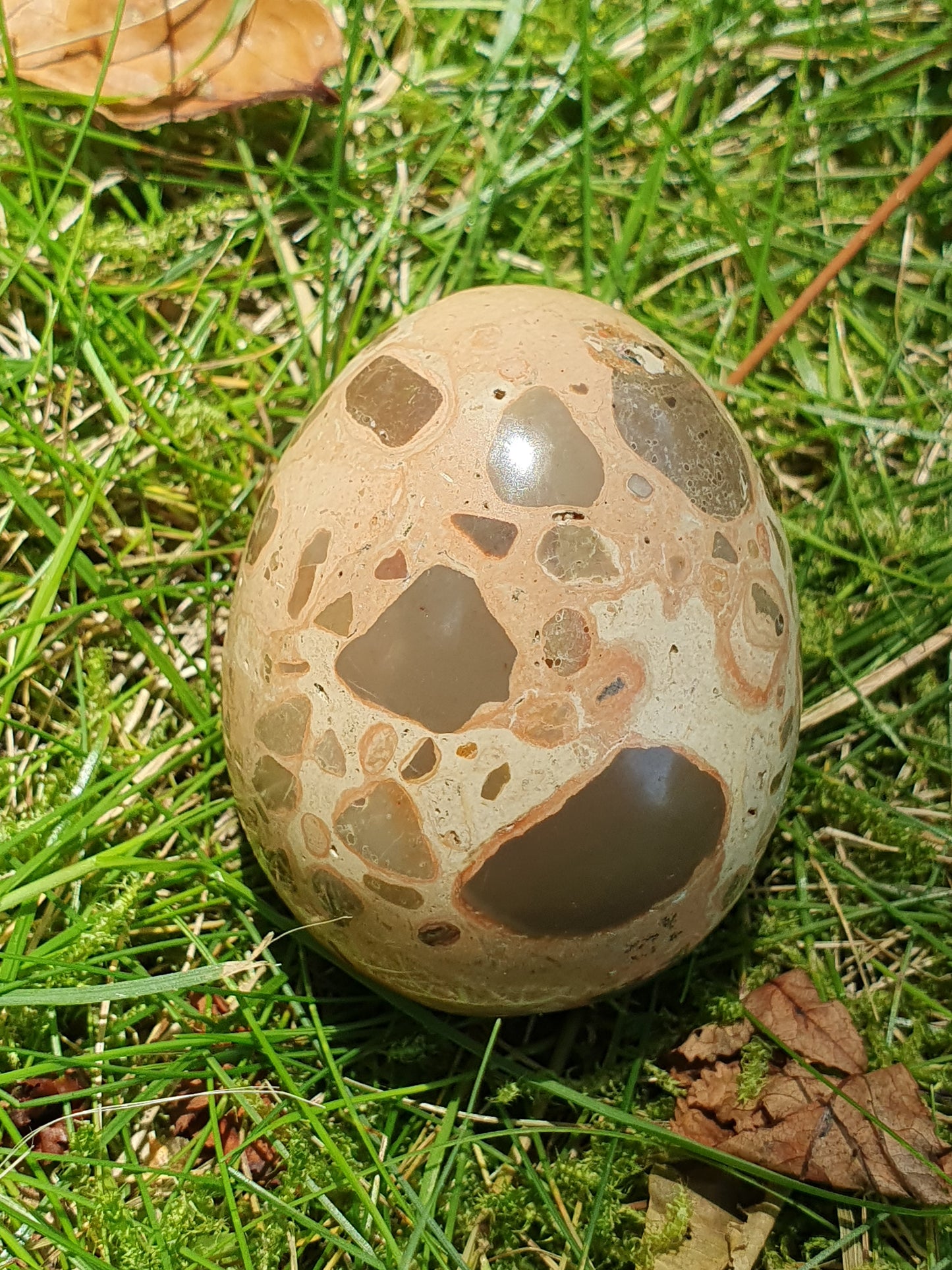 Oeuf Léopardite / Jaspe léopard LK