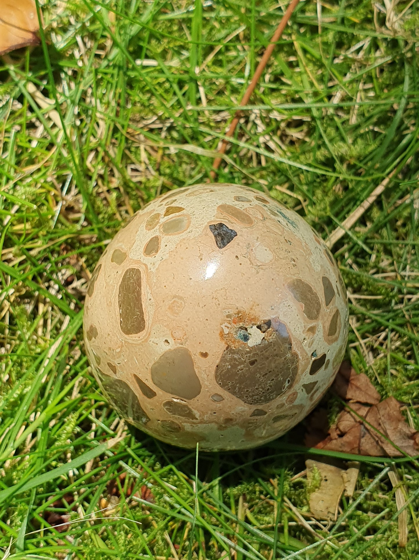 Oeuf Léopardite / Jaspe léopard LK