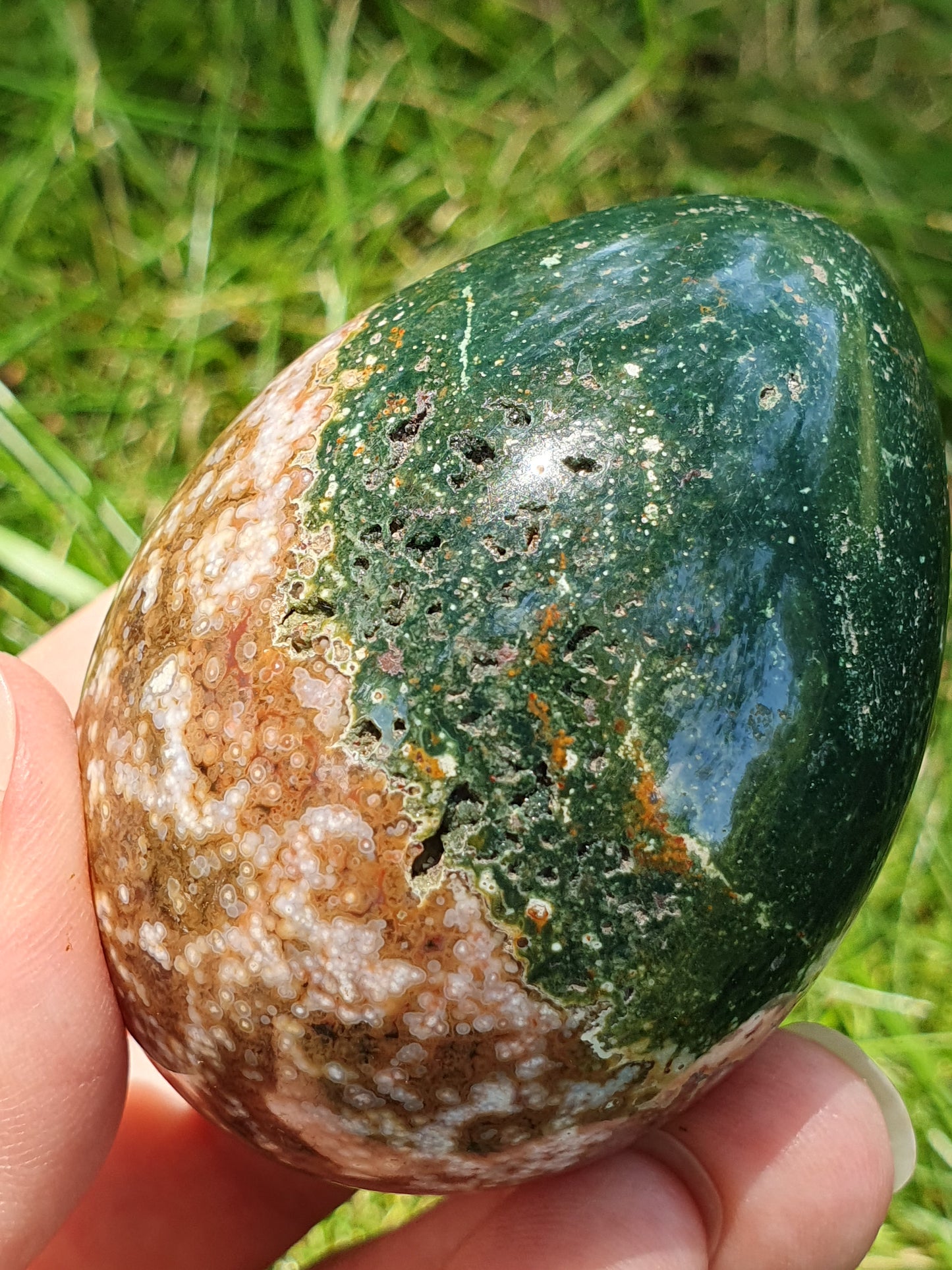 Oeuf Jaspe Orbiculaire J2