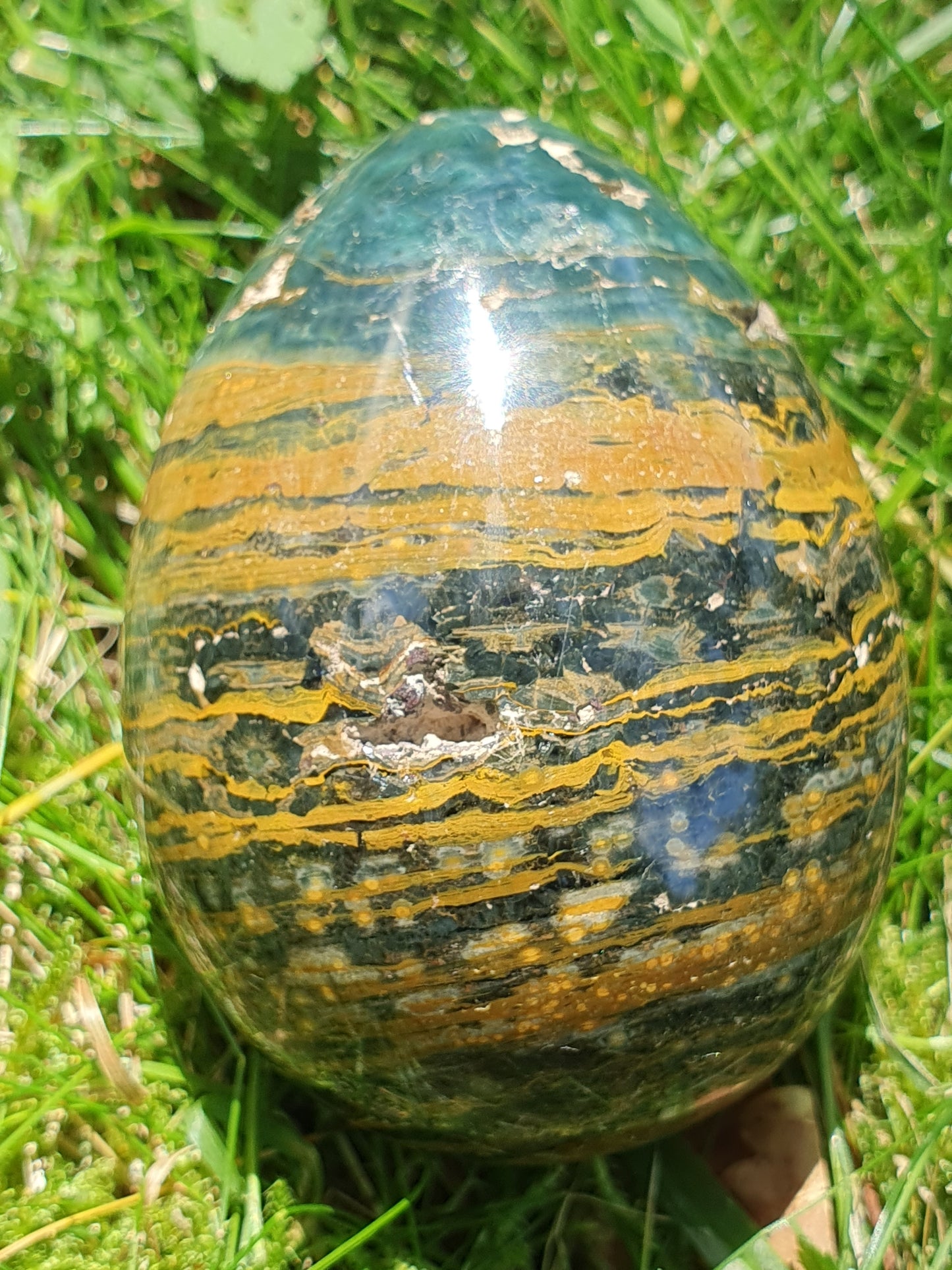 Oeuf Jaspe Orbiculaire J1