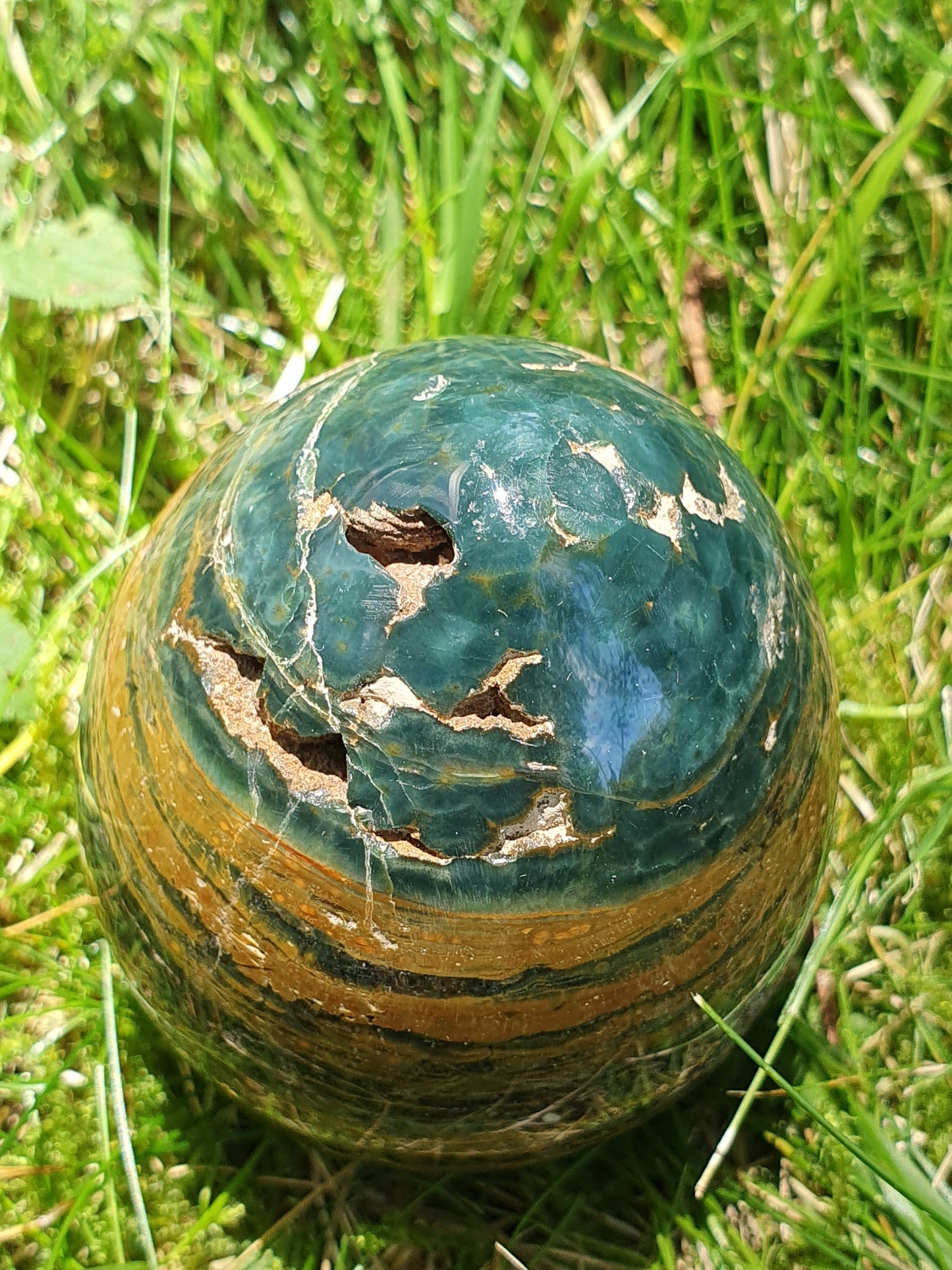 Oeuf Jaspe Orbiculaire J1