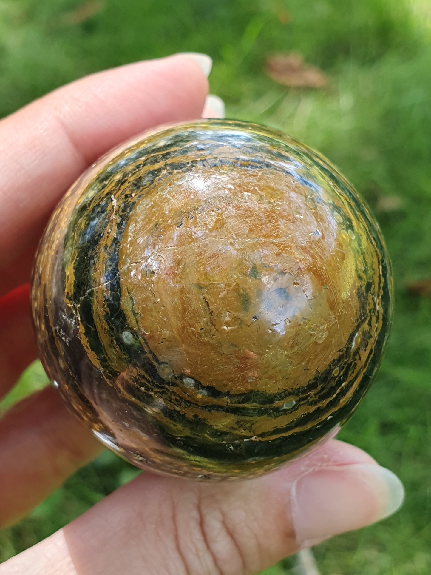 Oeuf Jaspe Orbiculaire J1