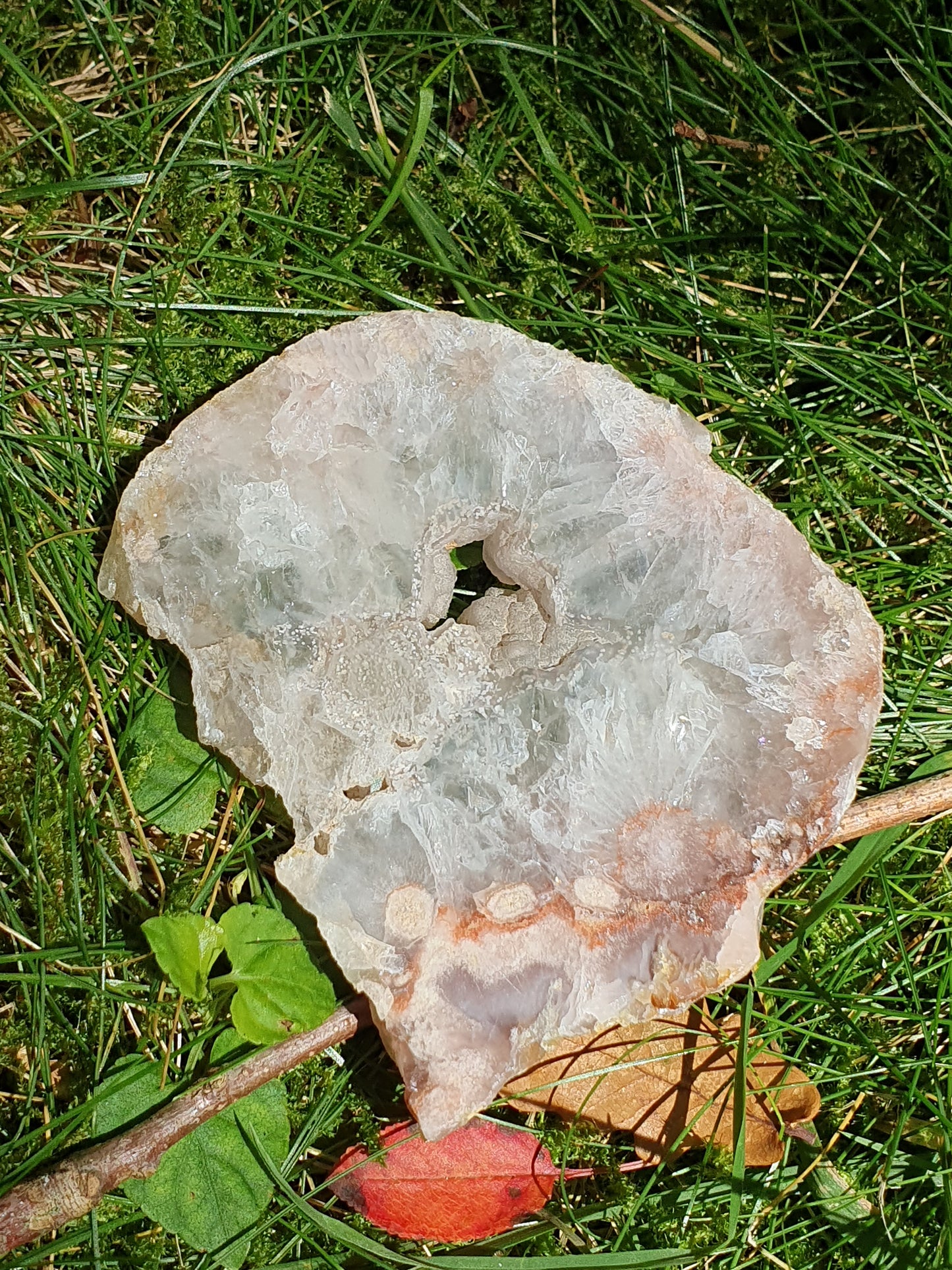 Tranche Agate fleurs n°8