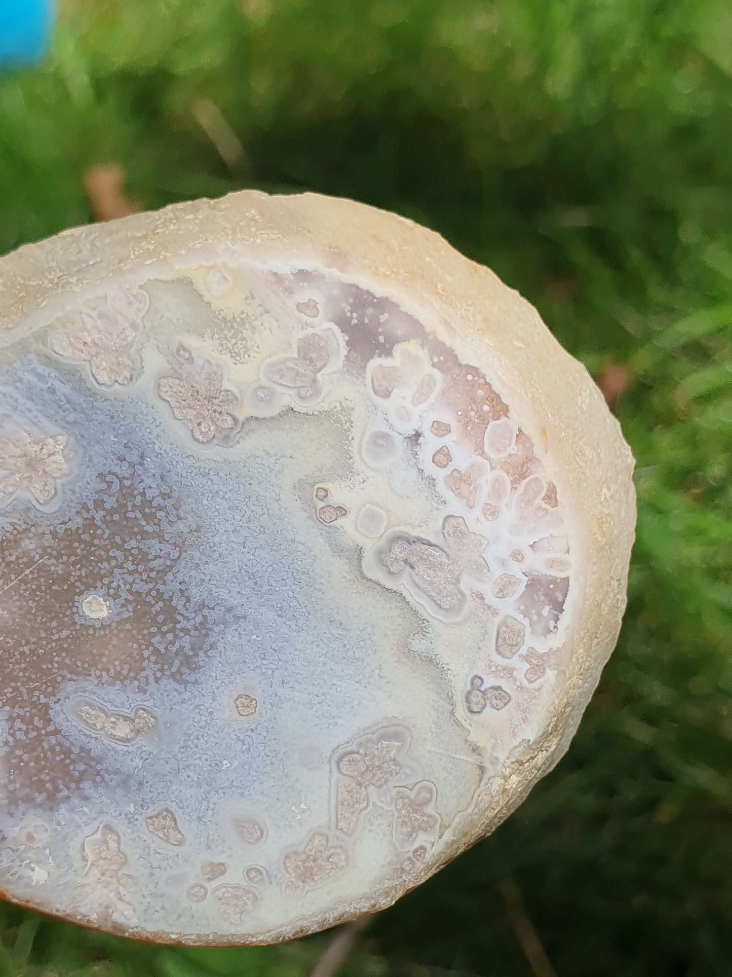 Tranche Agate fleurs n°11