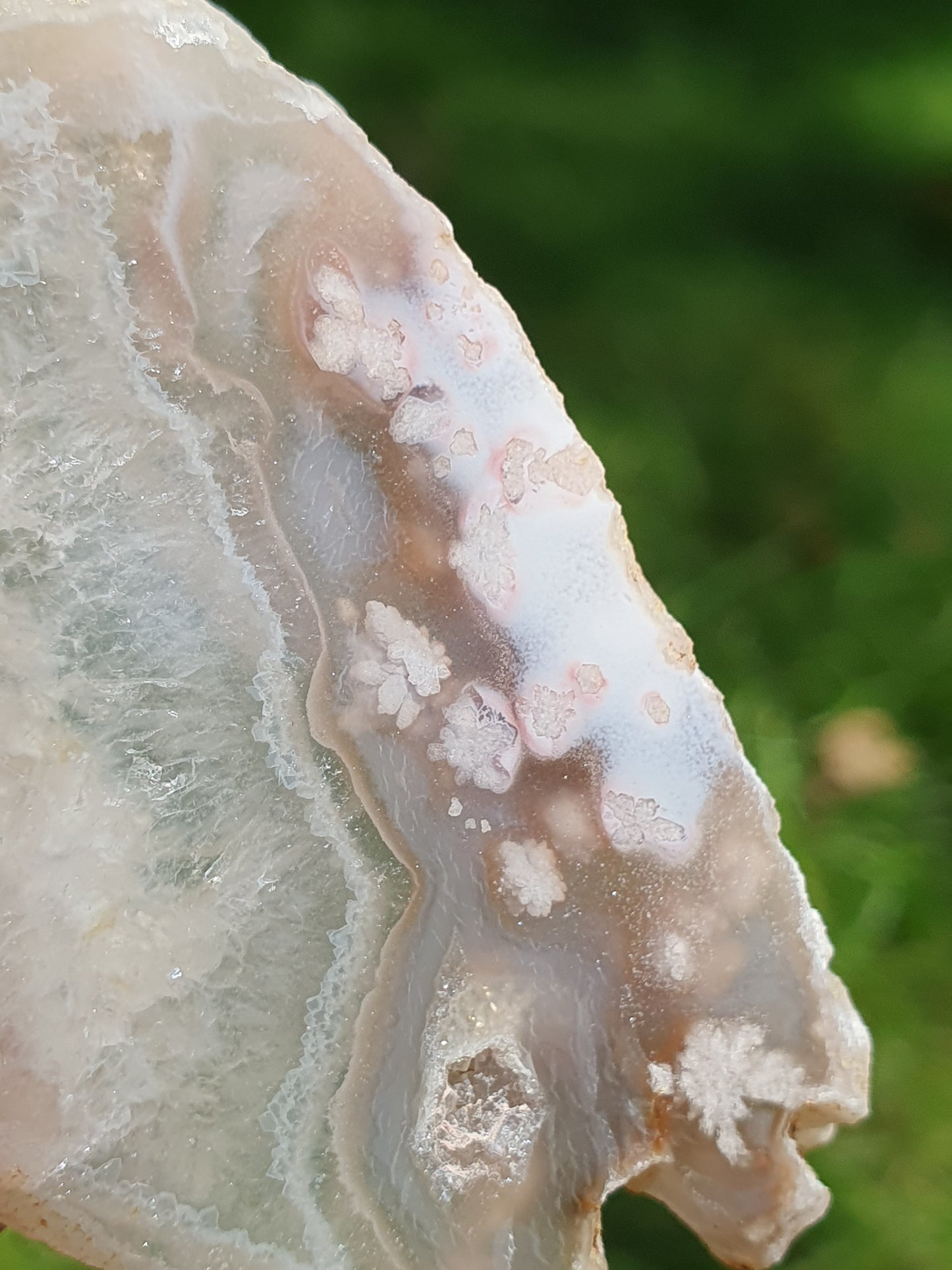 Tranche Agate fleurs n°13