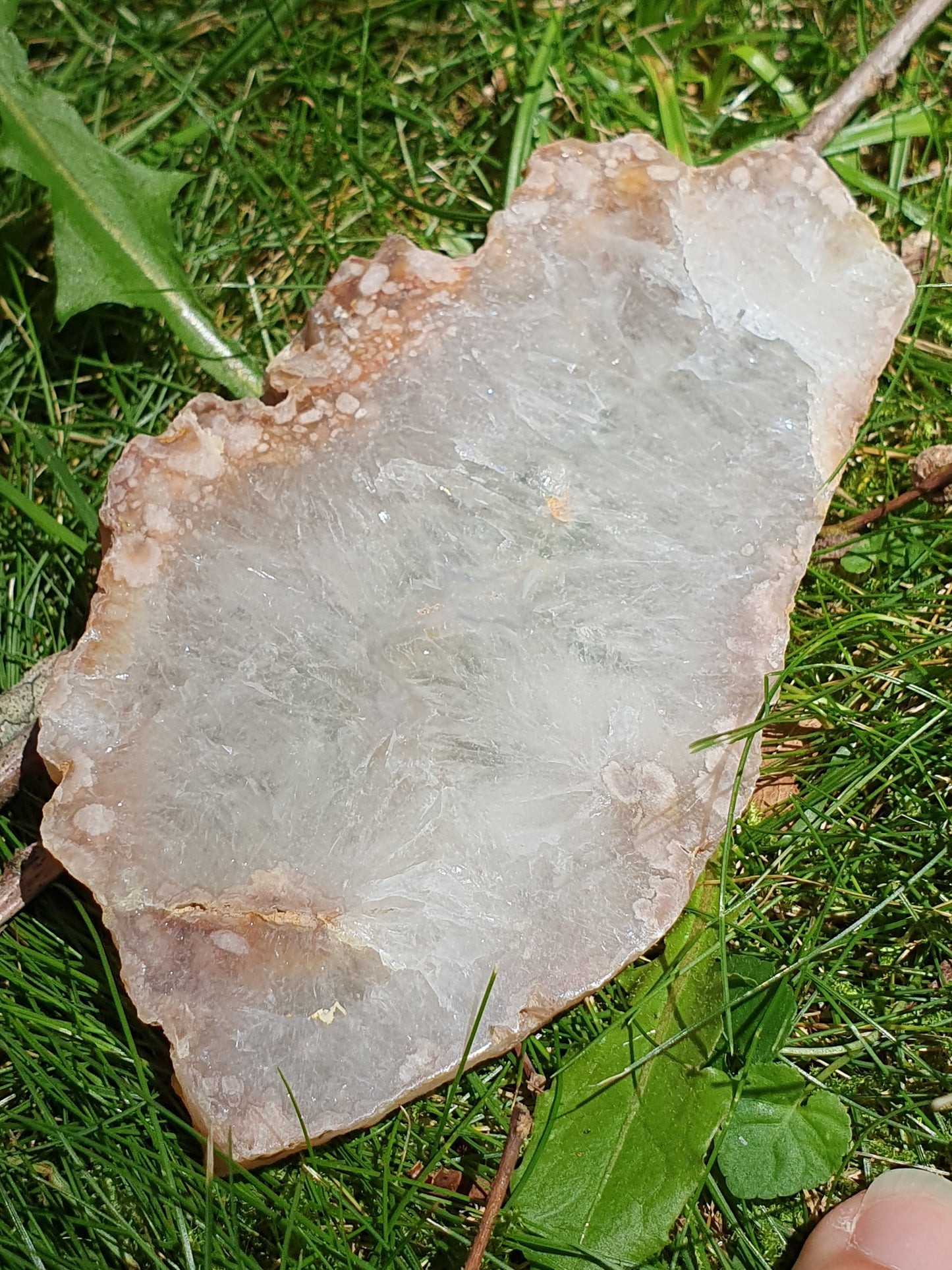 Tranche Agate fleurs n°17