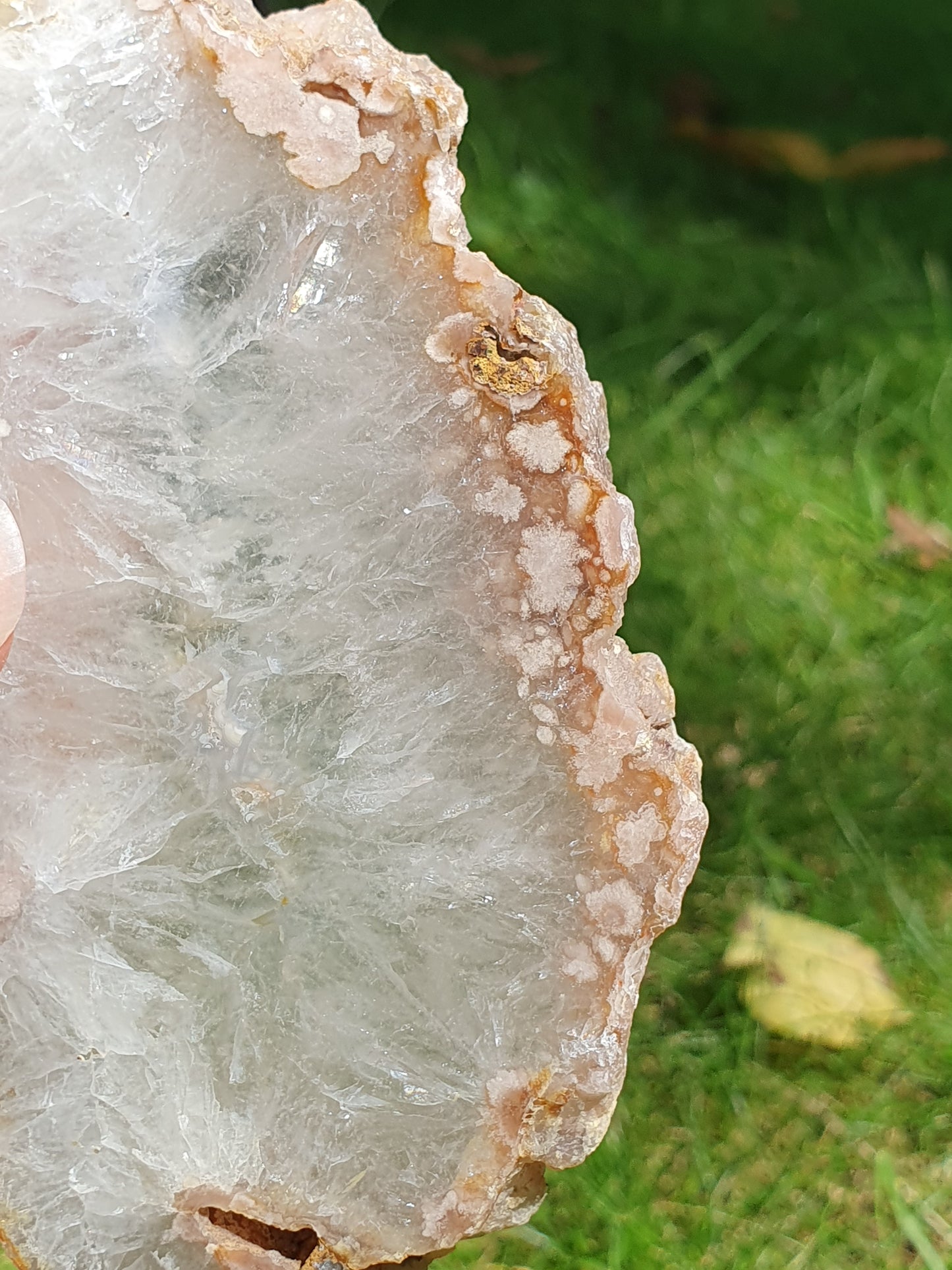Tranche Agate fleurs n°17