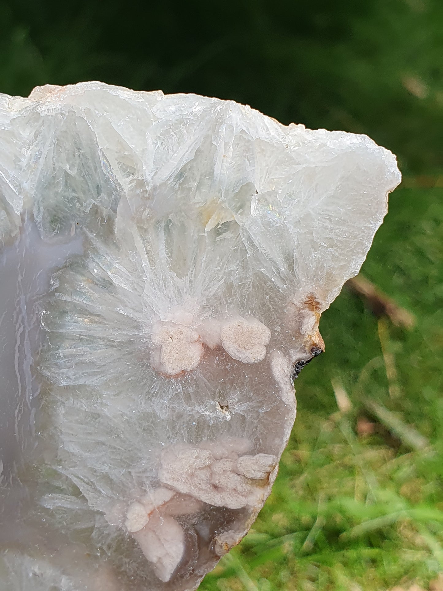 Tranche Agate fleurs n°21