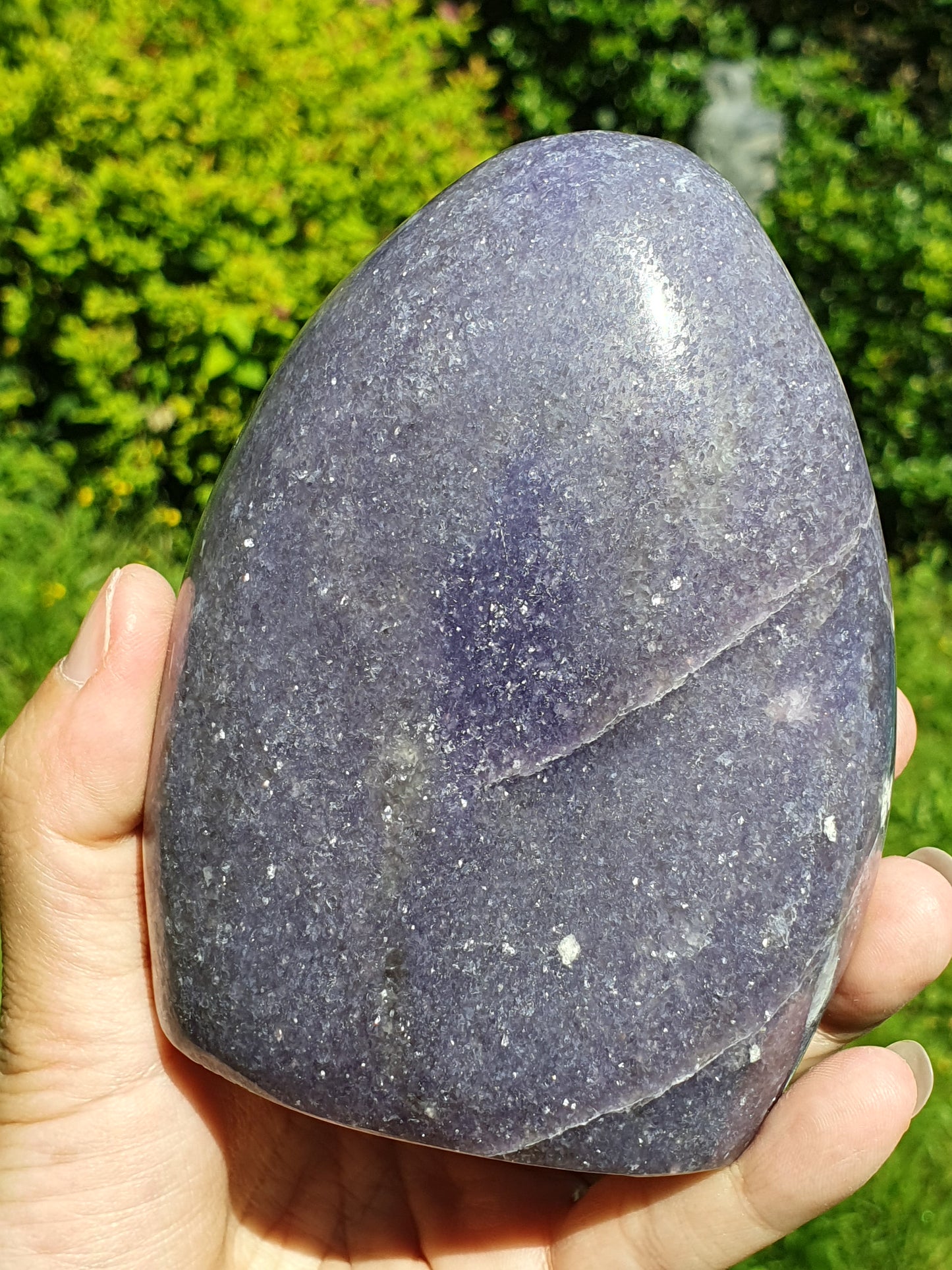Forme libre Lépidolite L1