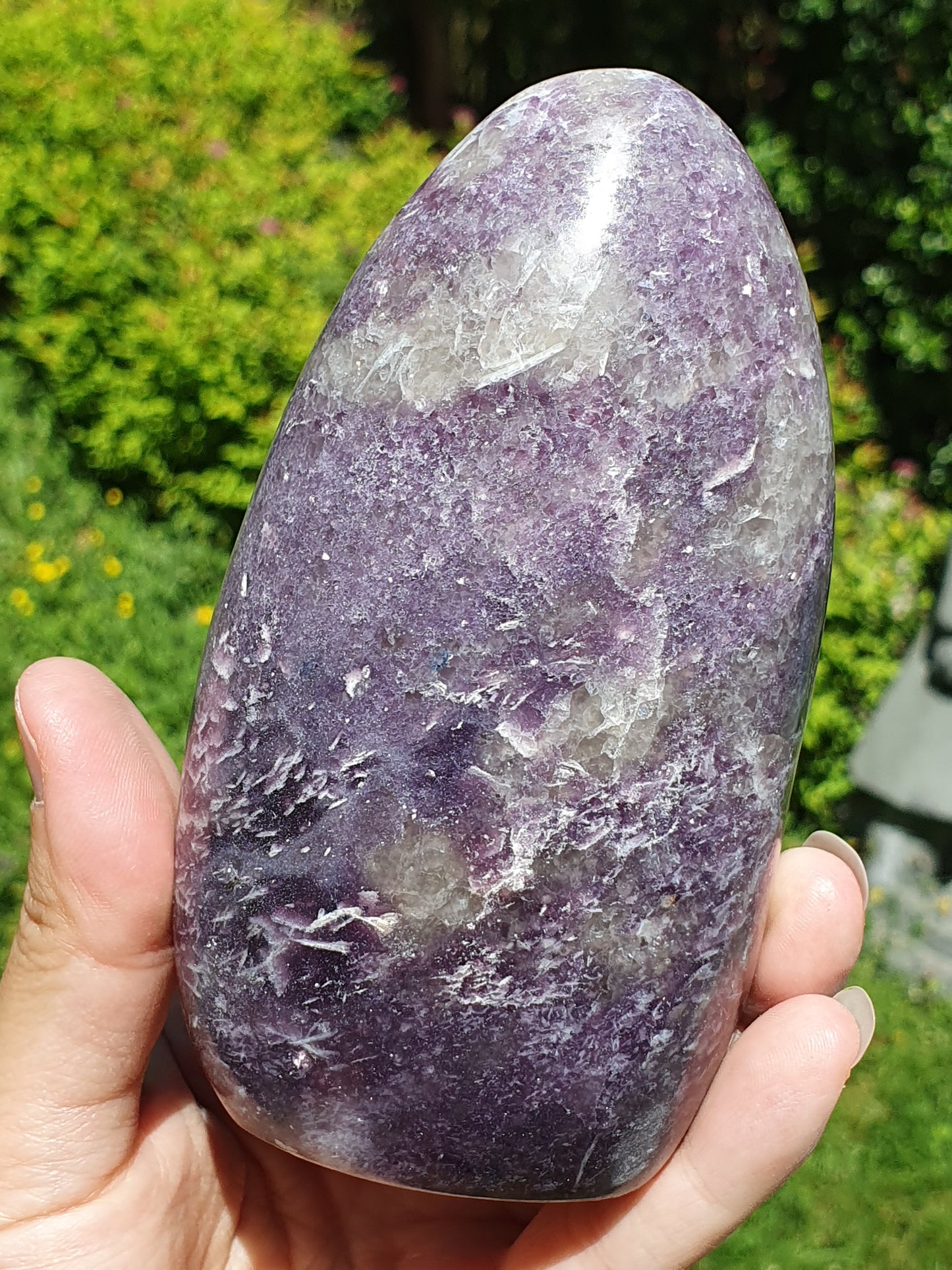Forme libre Lépidolite L2