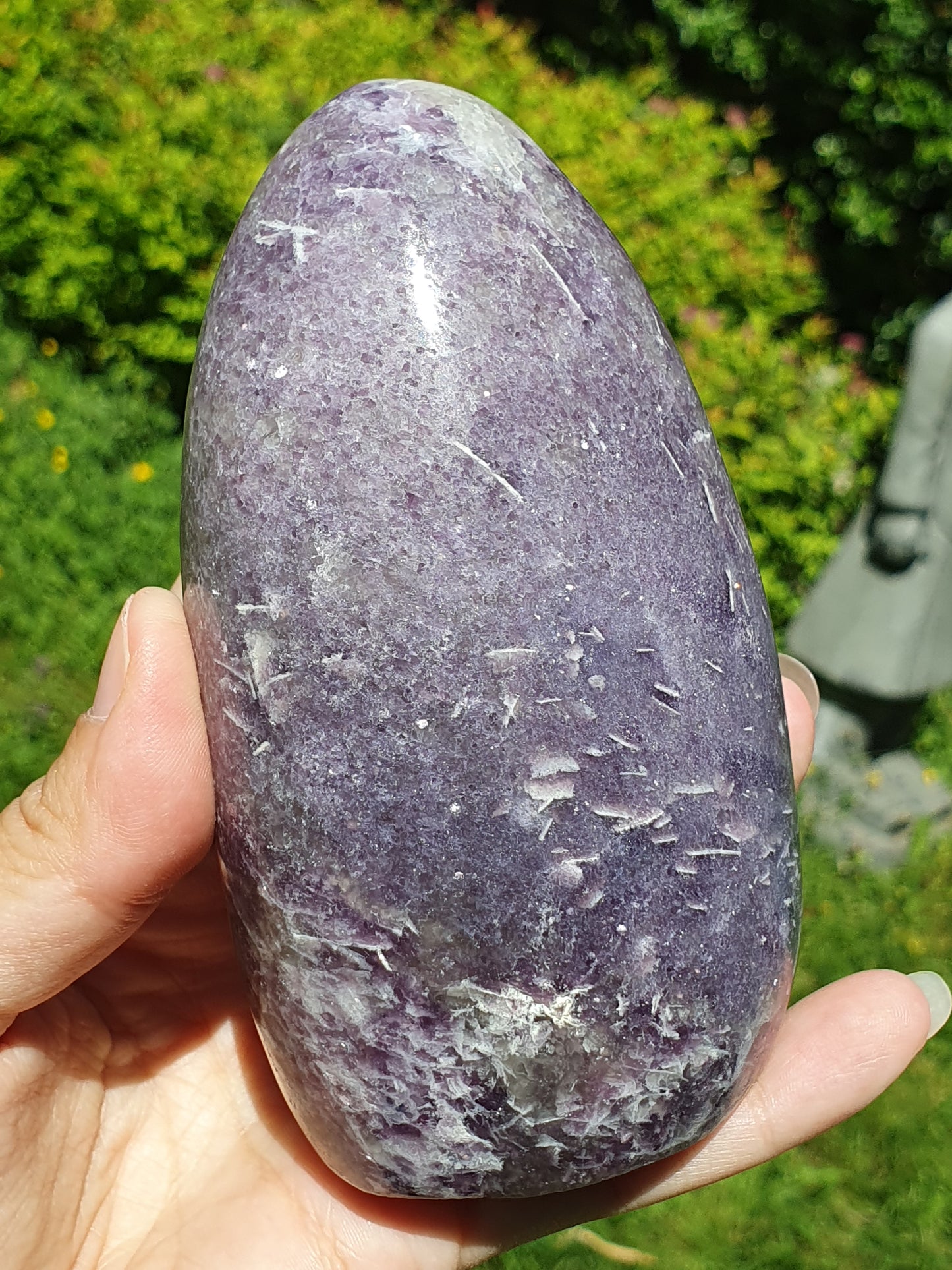 Forme libre Lépidolite L2