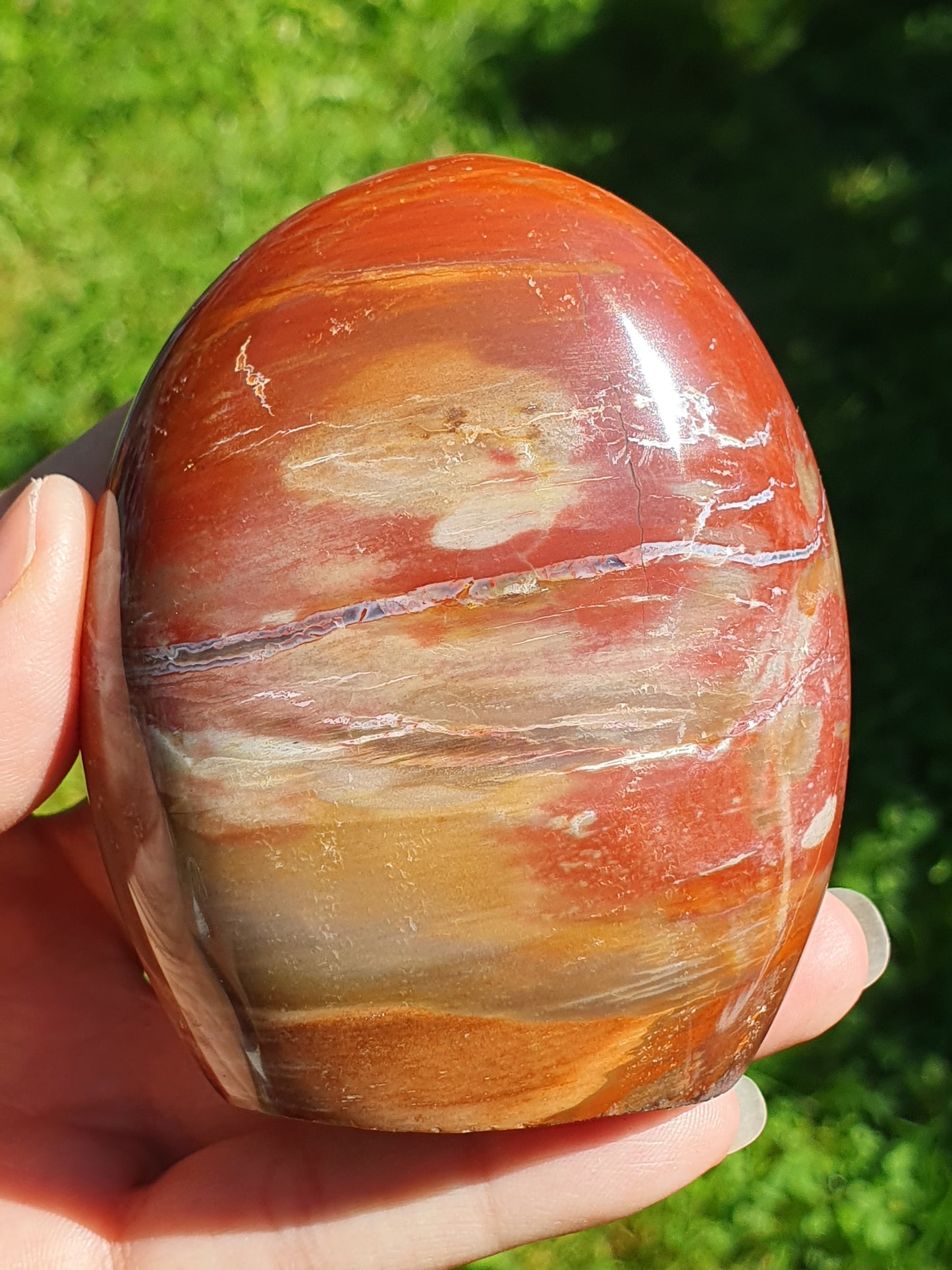 Forme libre Bois fossile B6