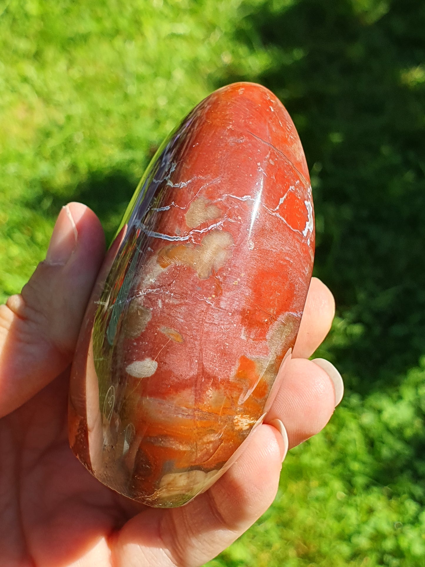 Forme libre Bois fossile B6