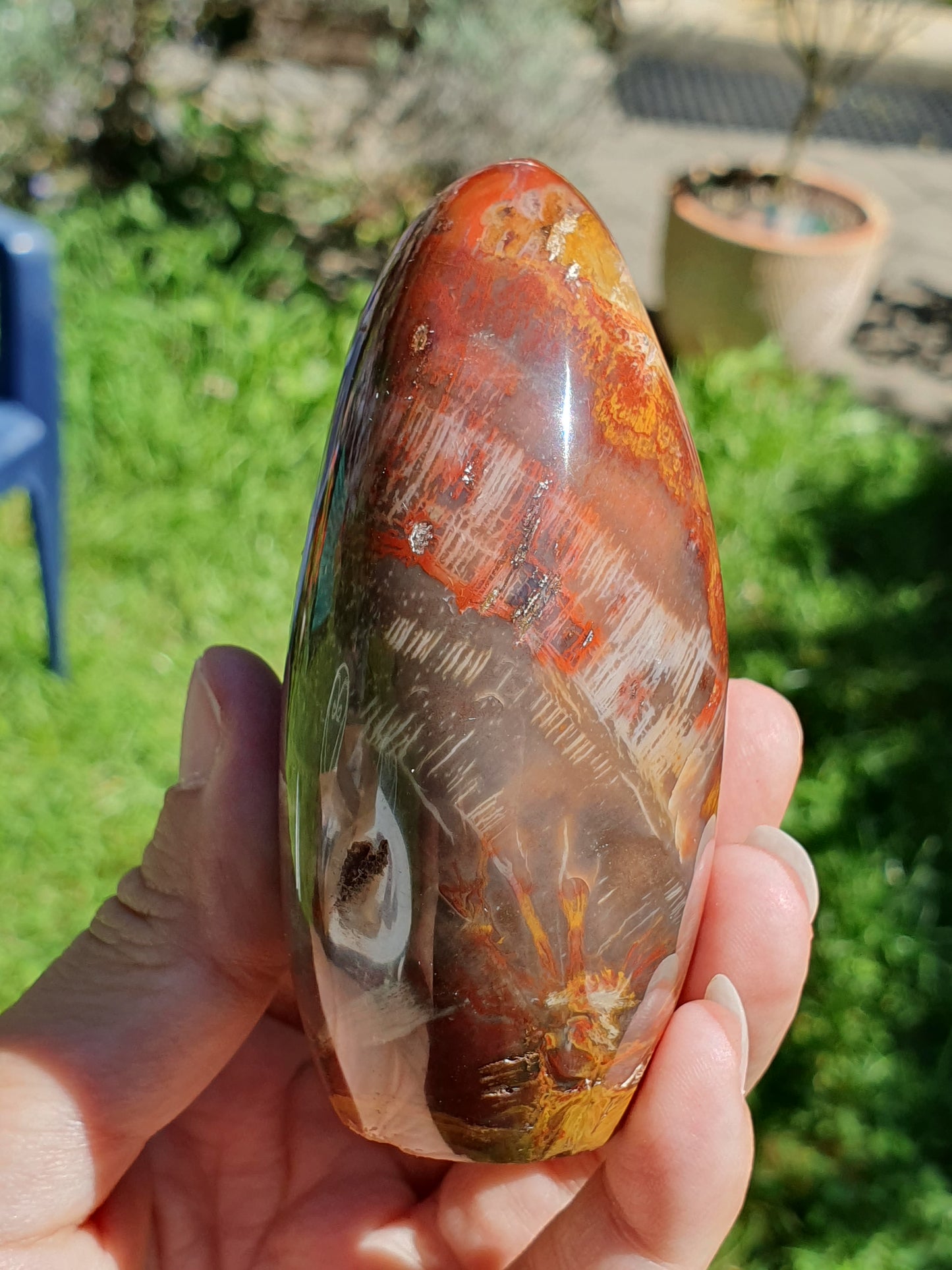 Forme libre Bois fossile B7