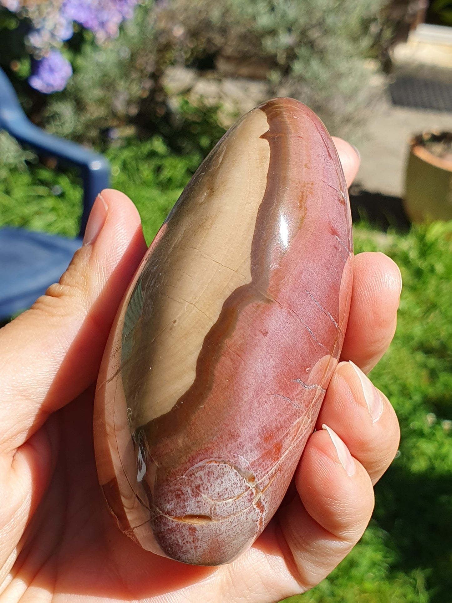 Forme libre Bois fossile B9