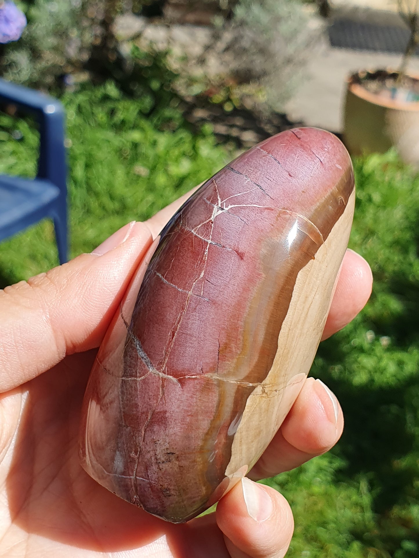 Forme libre Bois fossile B9