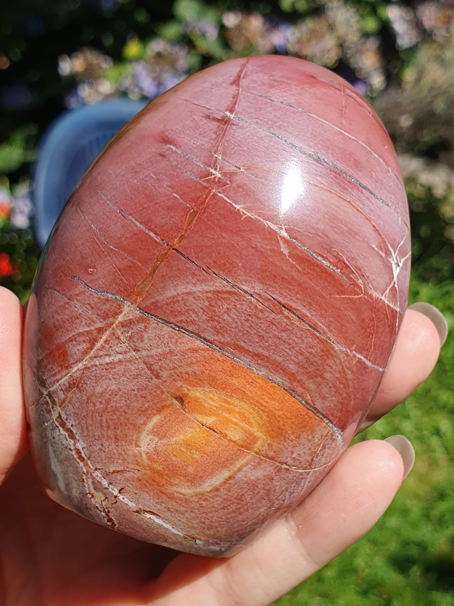 Forme libre Bois fossile B9