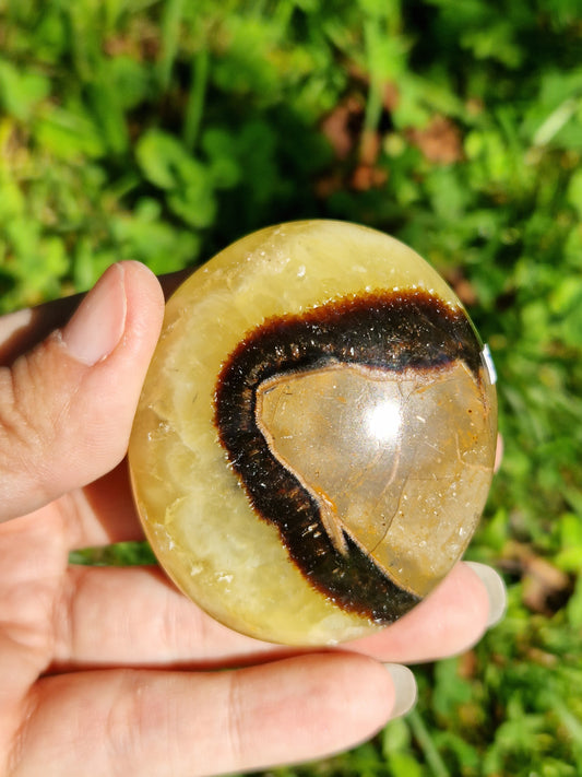 Galet de Septaria (à choisir)