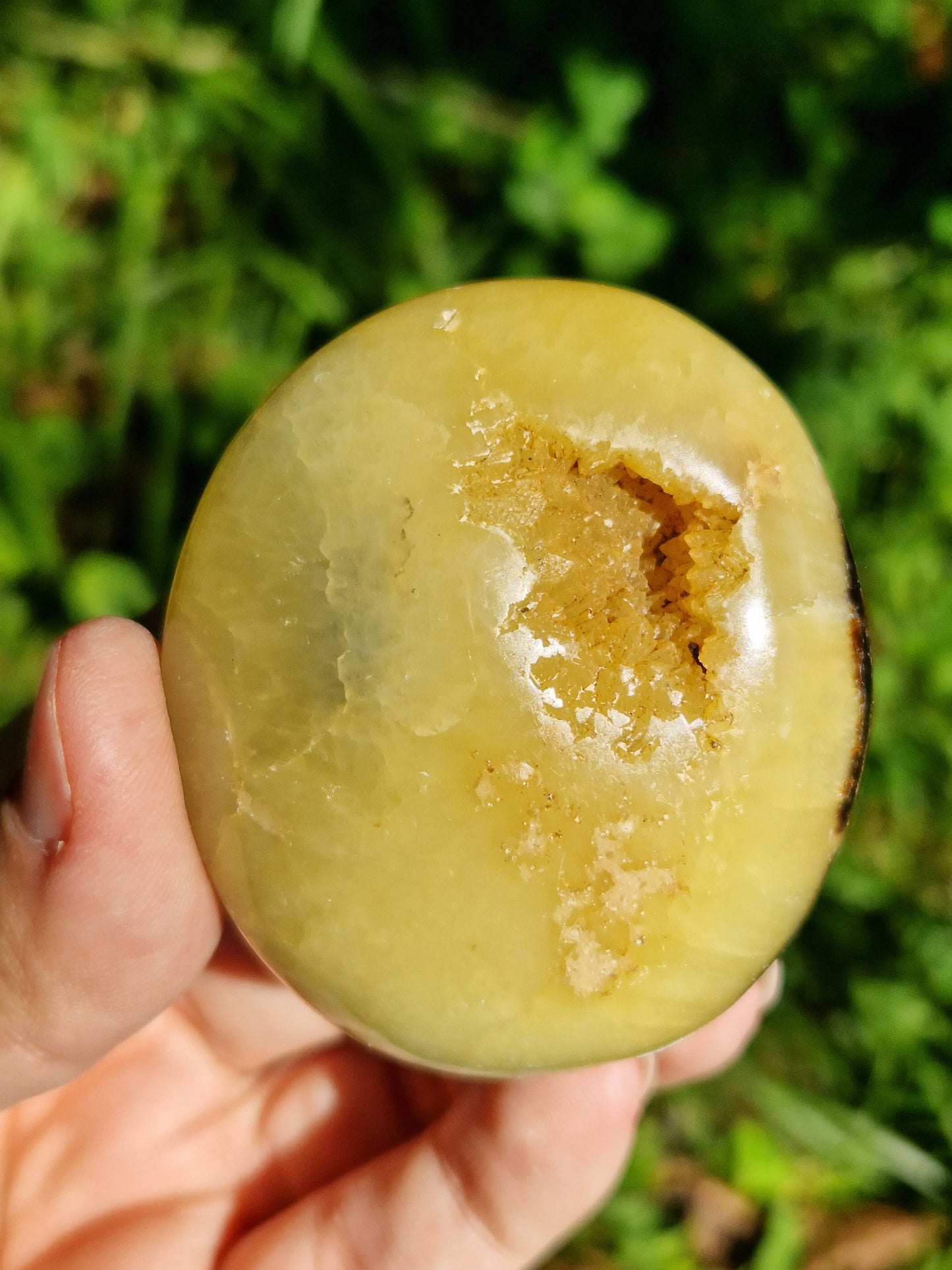 Galet de Septaria (à choisir)