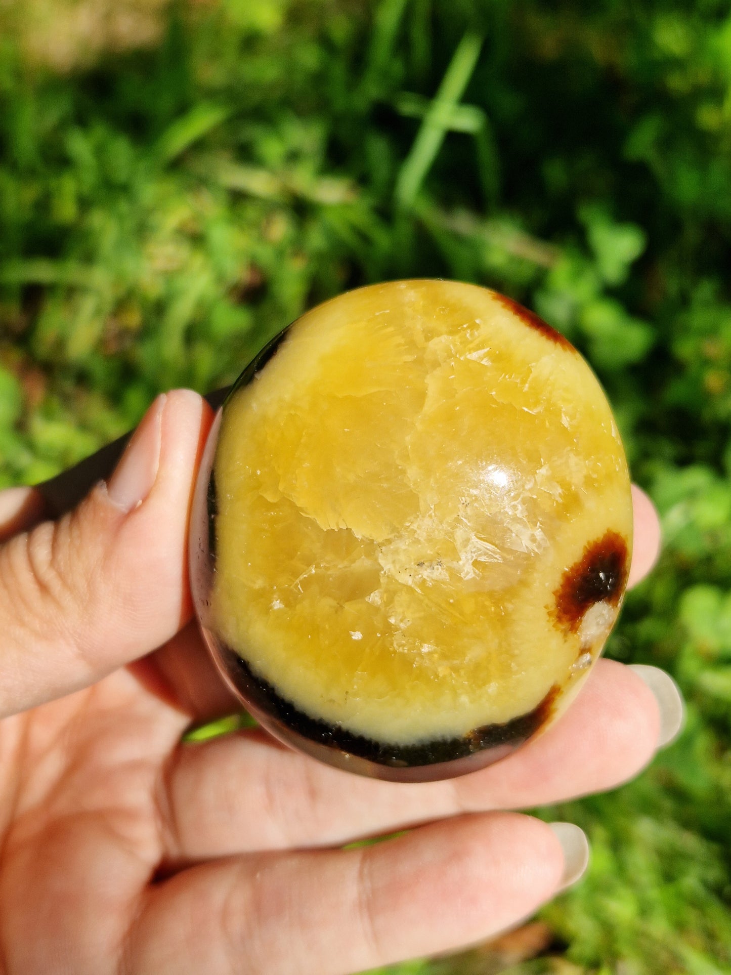 Galet de Septaria (à choisir)