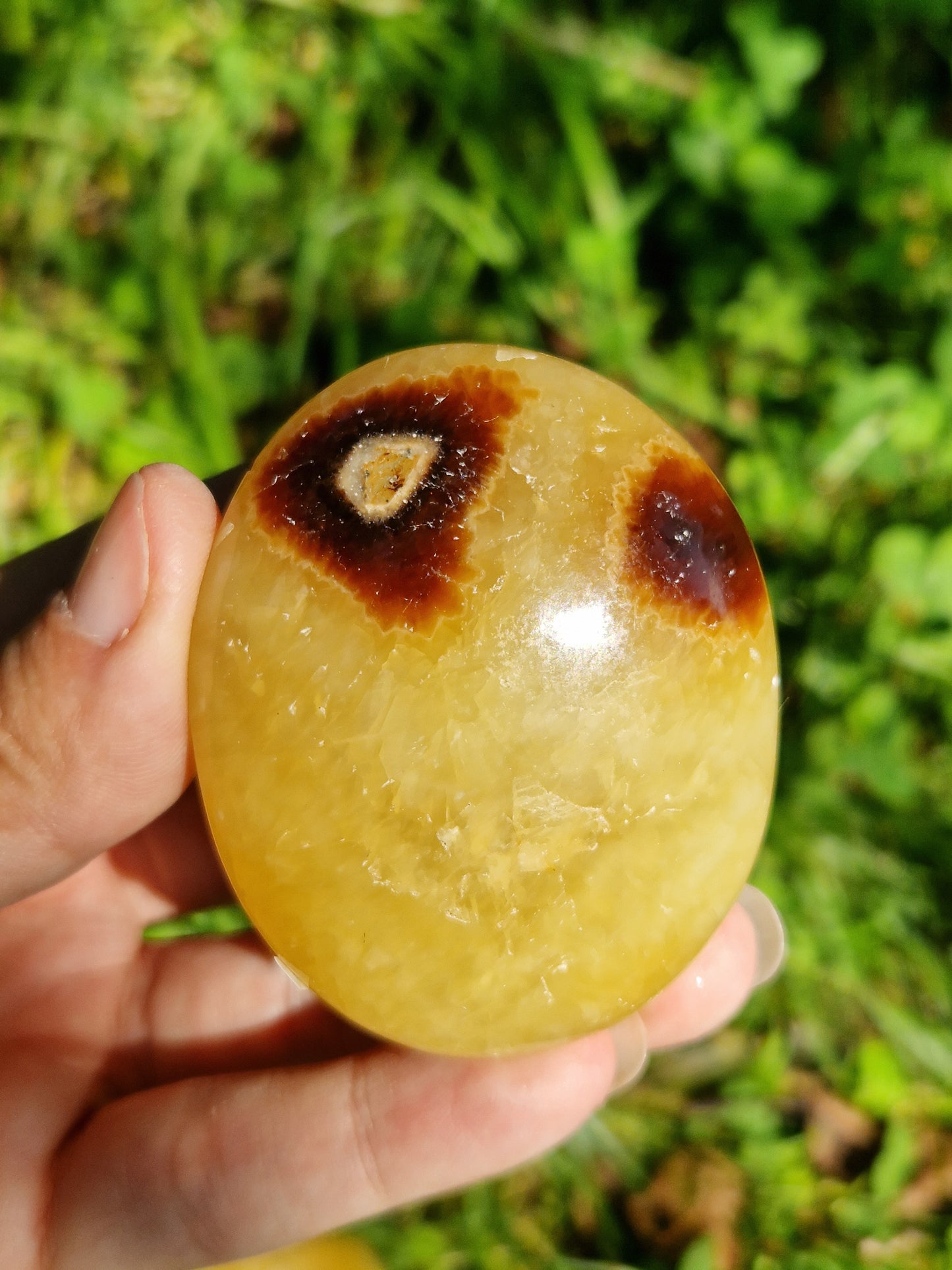 Galet de Septaria (à choisir)