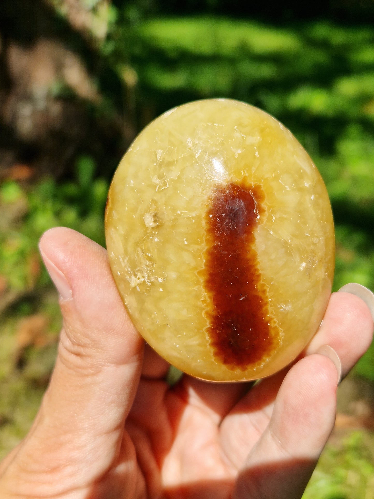 Galet de Septaria (à choisir)