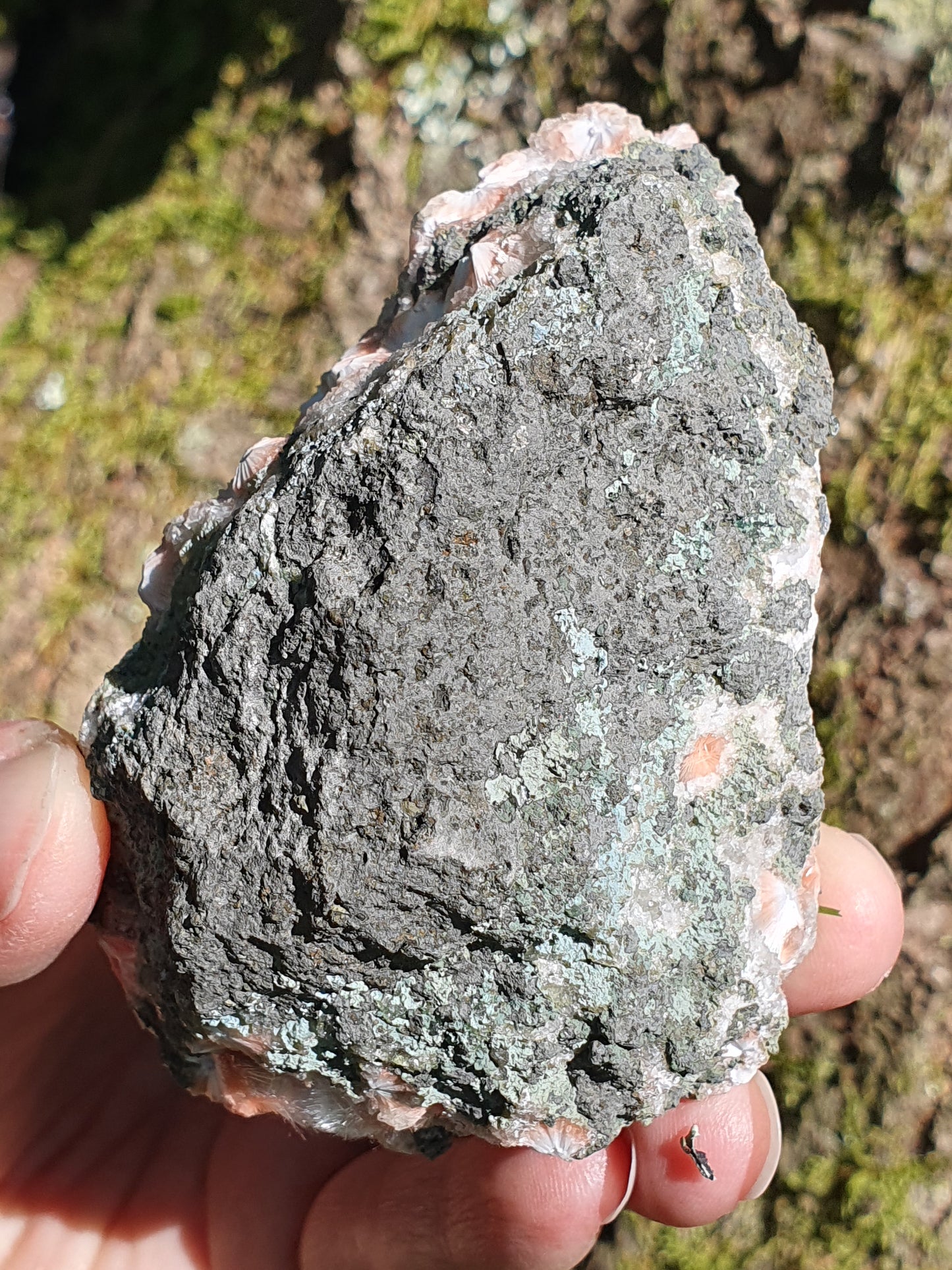 Thomsonite brute