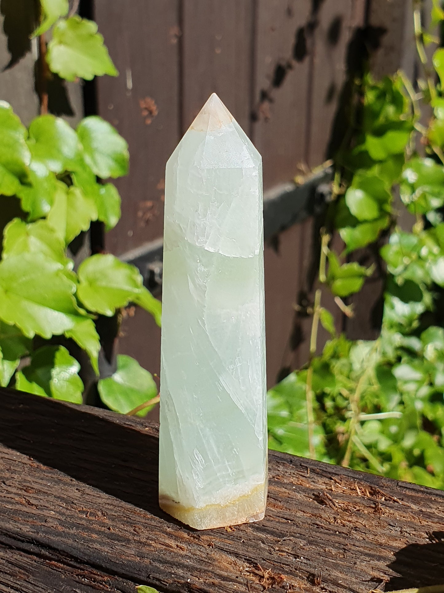 Pointe Calcite Caraïbes (à choisir)
