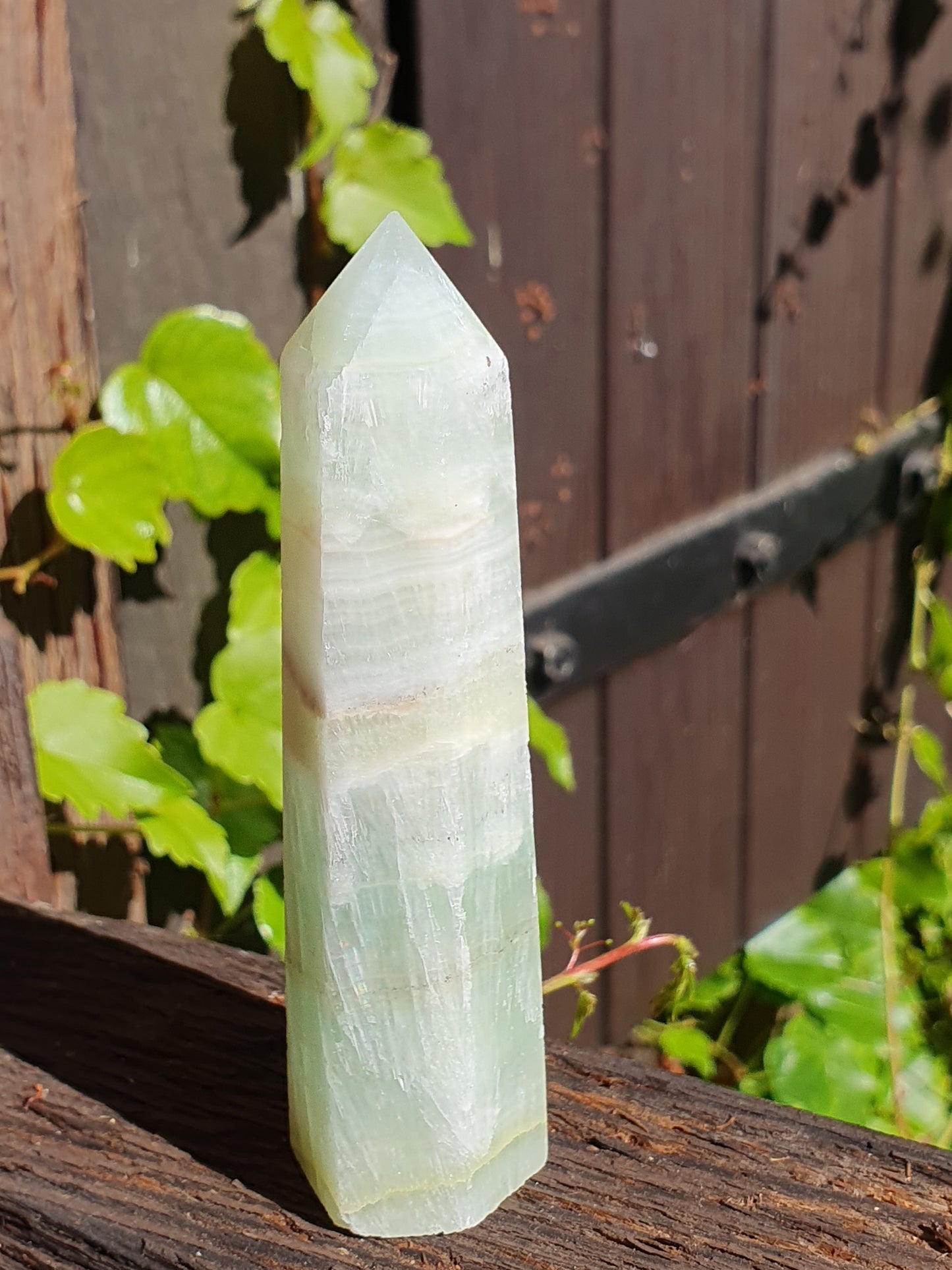 Pointe Calcite Caraïbes (à choisir)