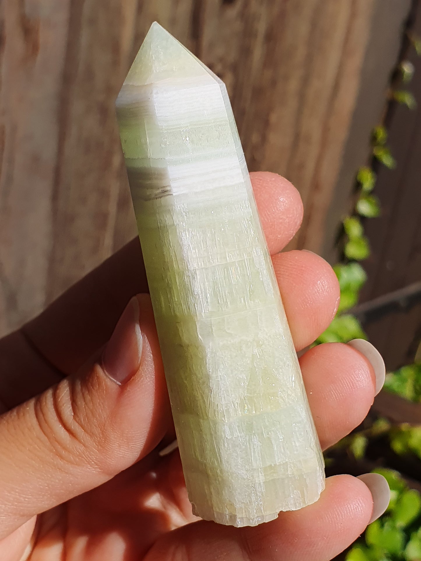 Pointe Calcite Caraïbes (à choisir)
