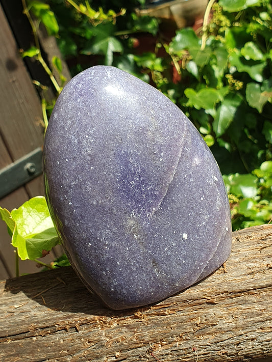 Forme libre Lépidolite L1