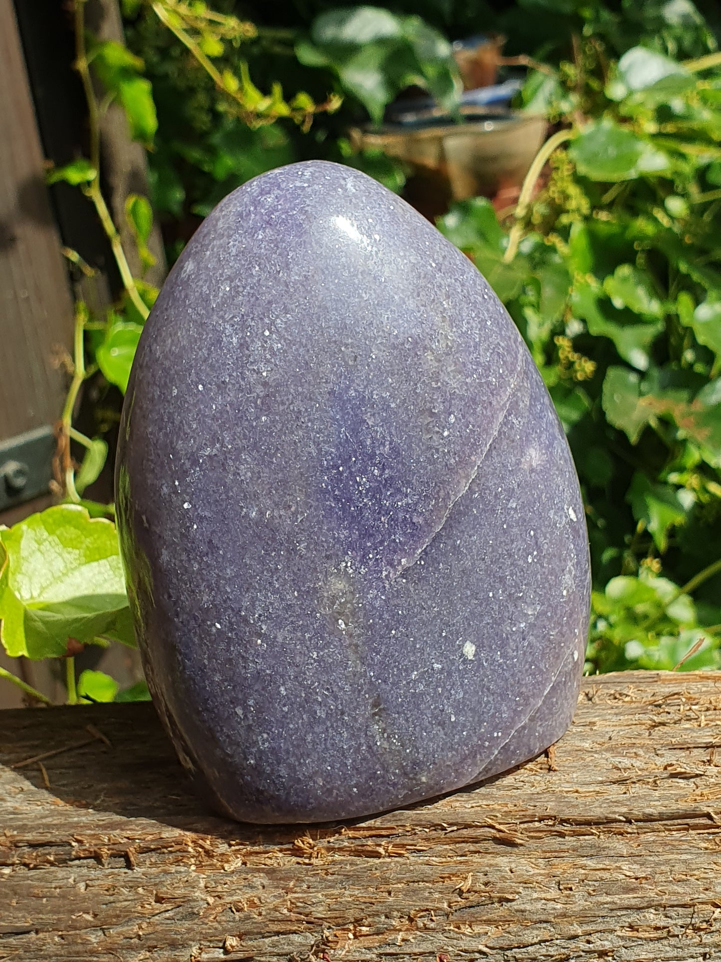 Forme libre Lépidolite L1