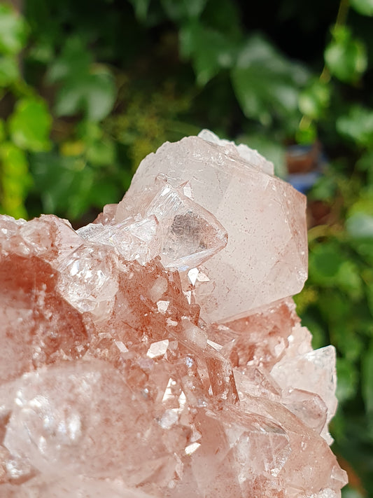 Apophyllite sur Heulandite rose