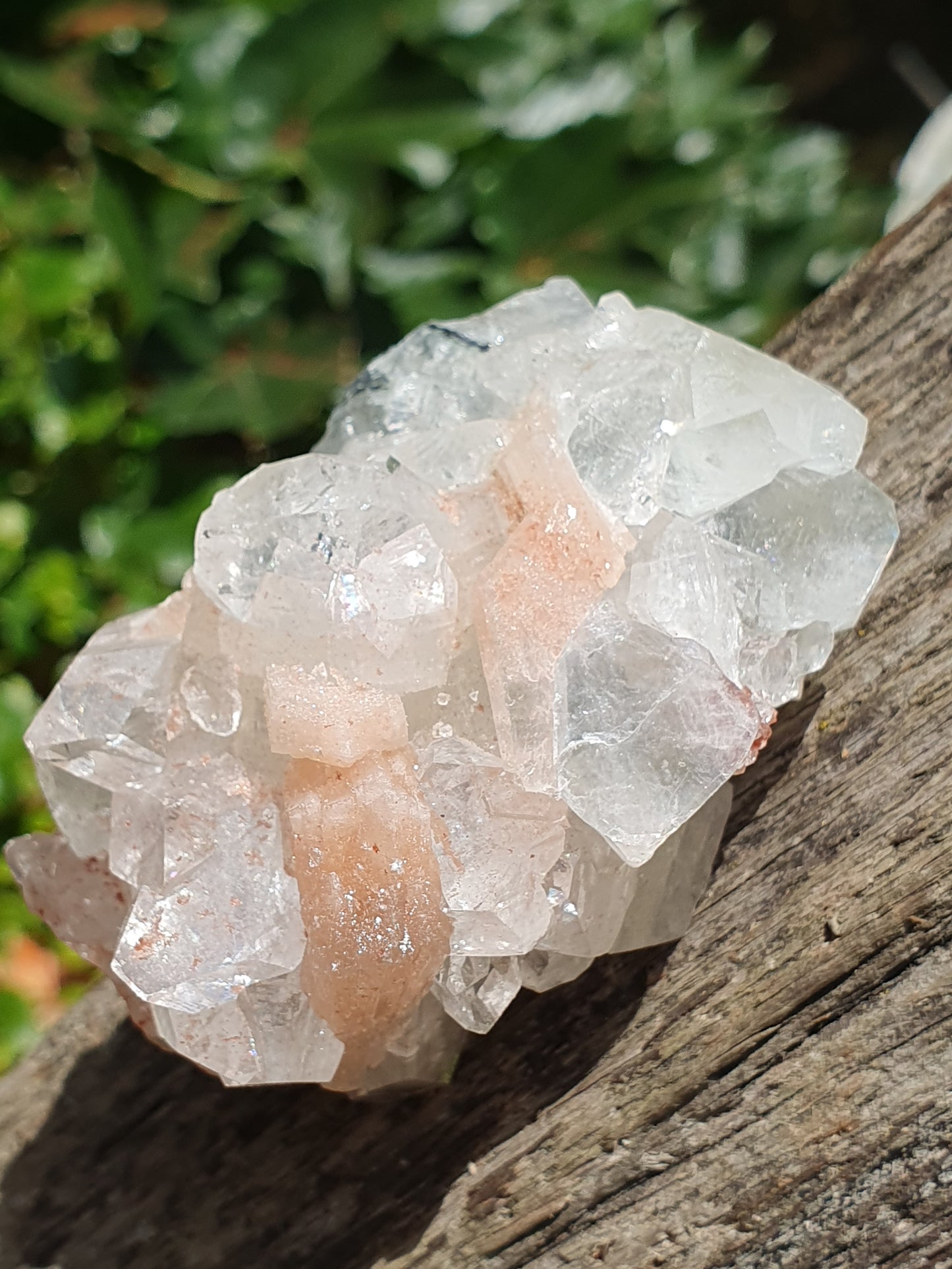 Apophyllite et stilbite sur Calcédoine noire