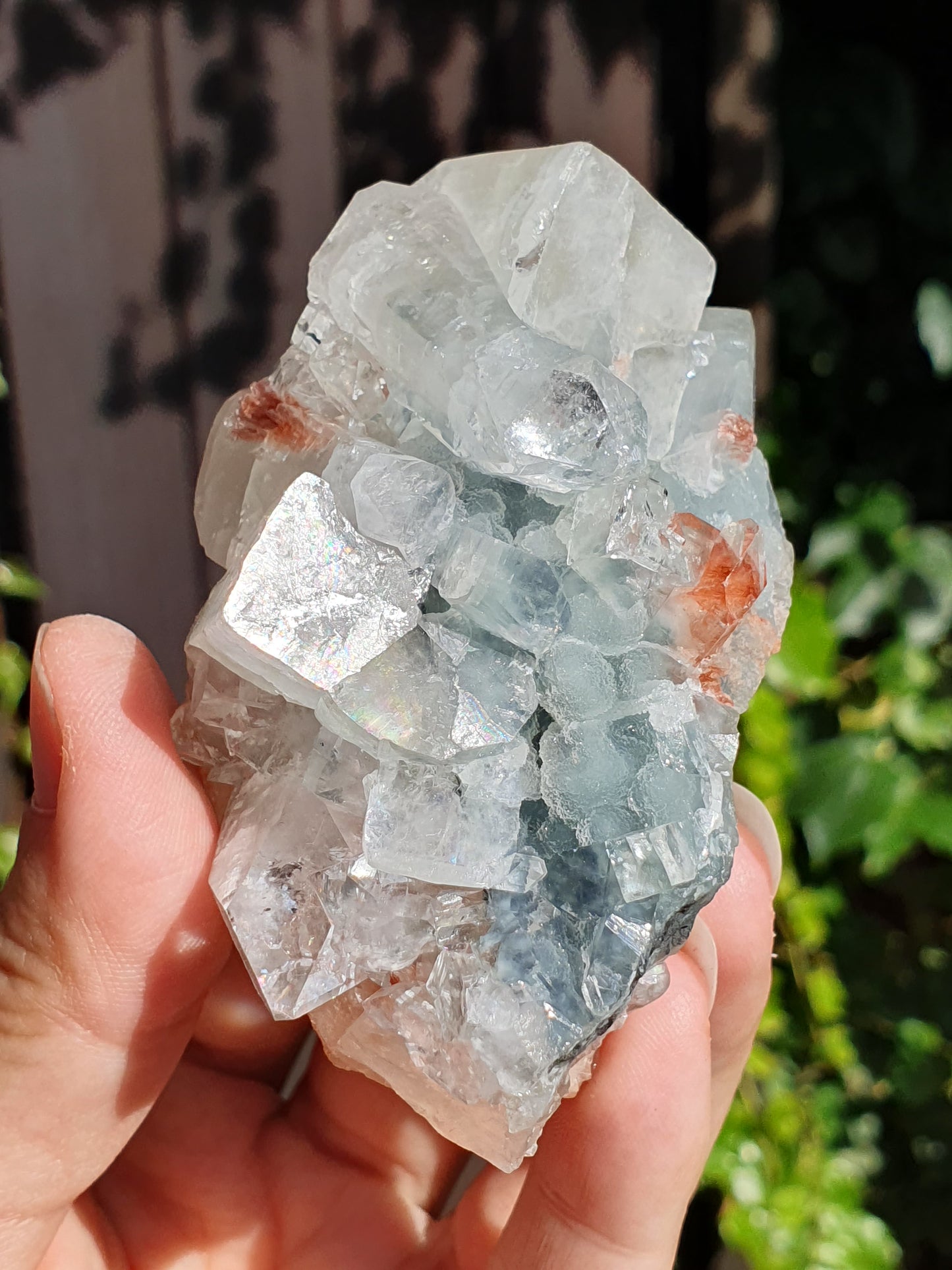 Apophyllite et stilbite sur Calcédoine noire