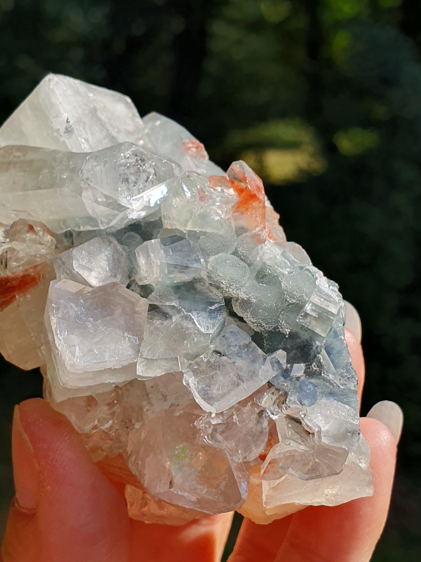 Apophyllite et stilbite sur Calcédoine noire