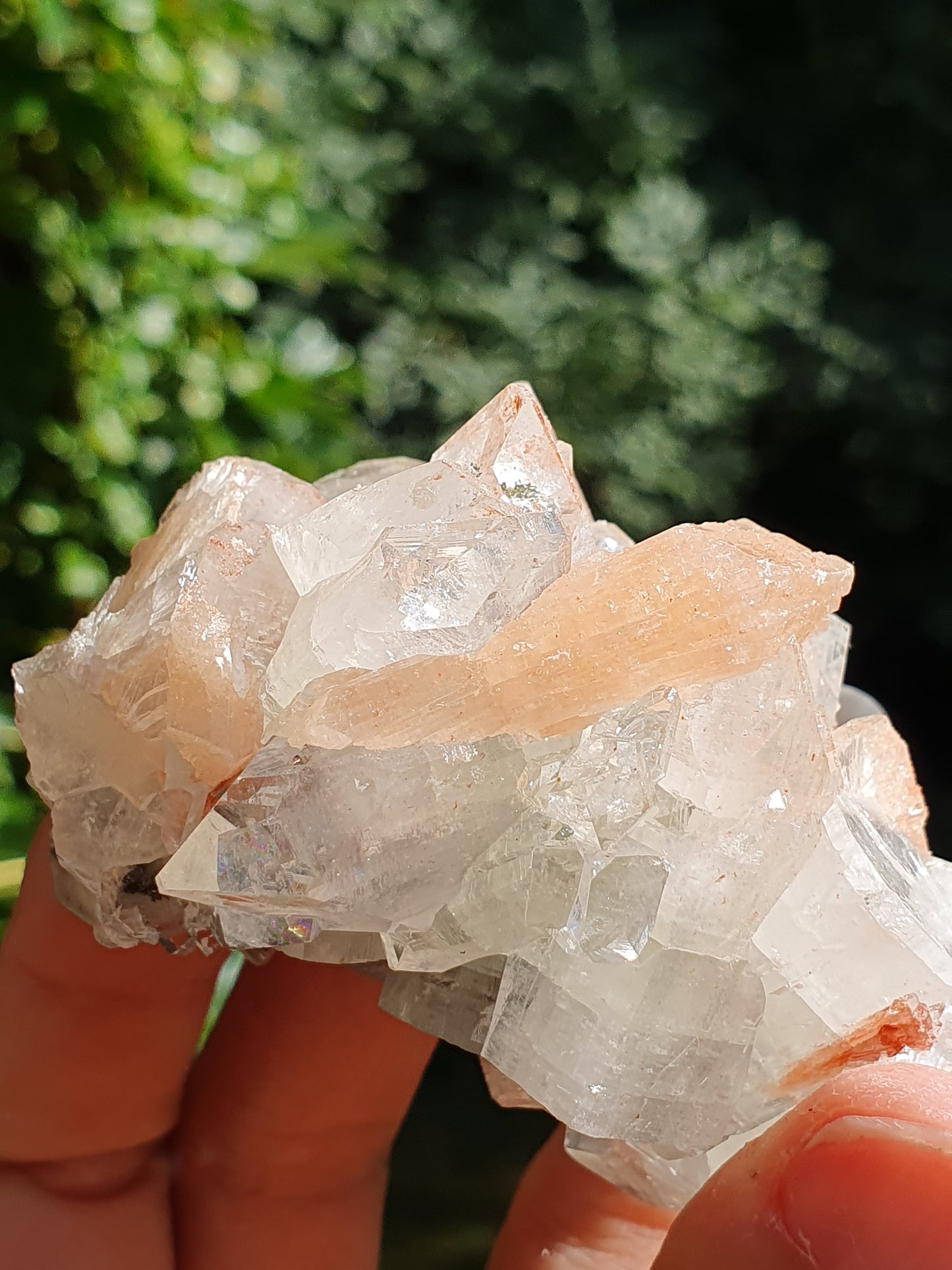 Apophyllite et stilbite sur Calcédoine noire
