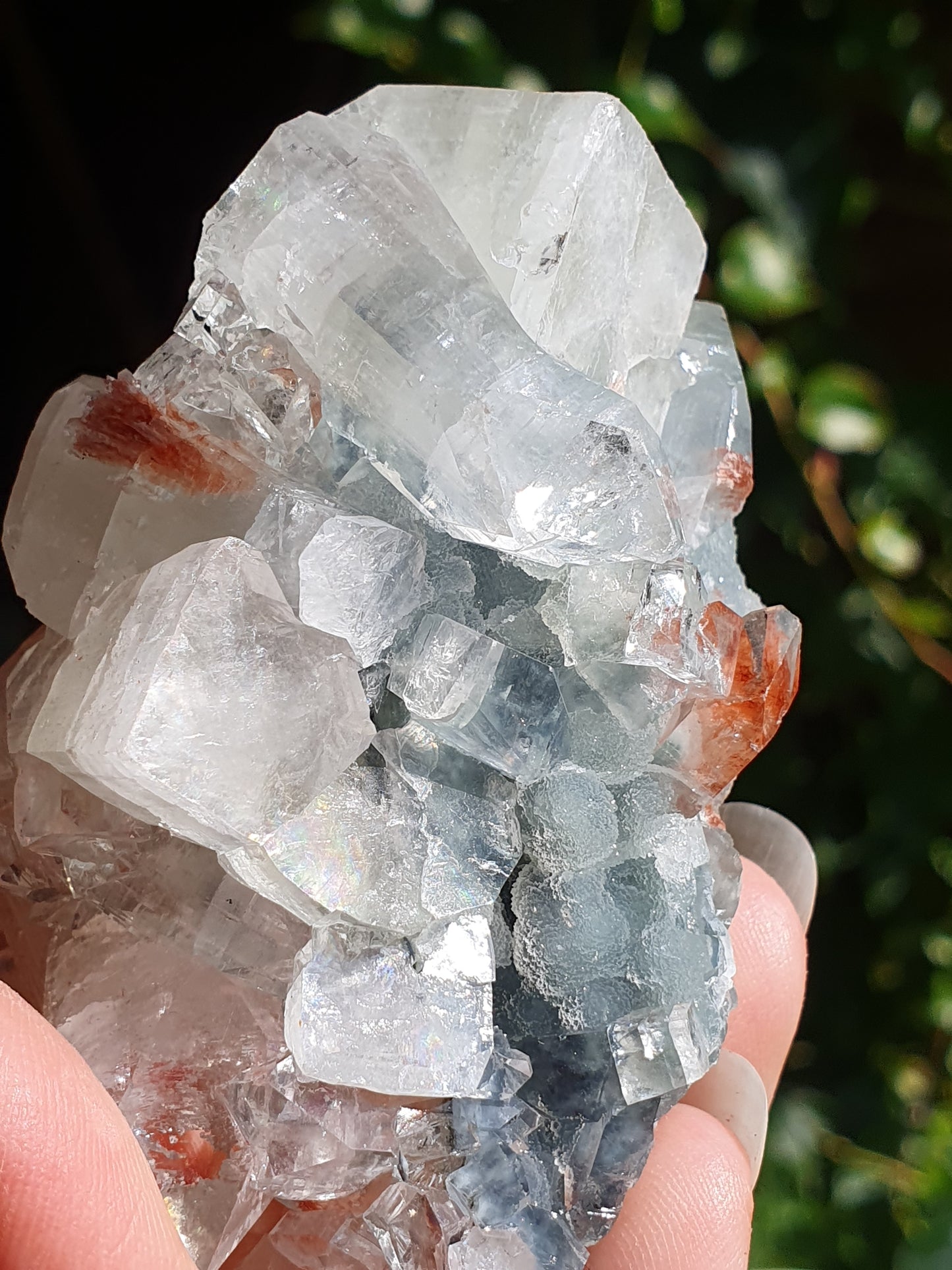 Apophyllite et stilbite sur Calcédoine noire