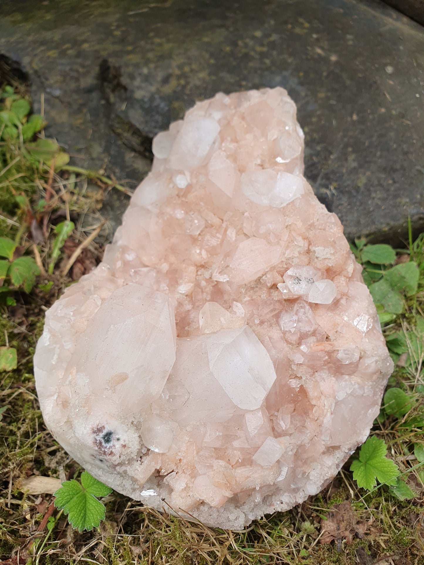Sublime Apophyllite sur Heulandite rose