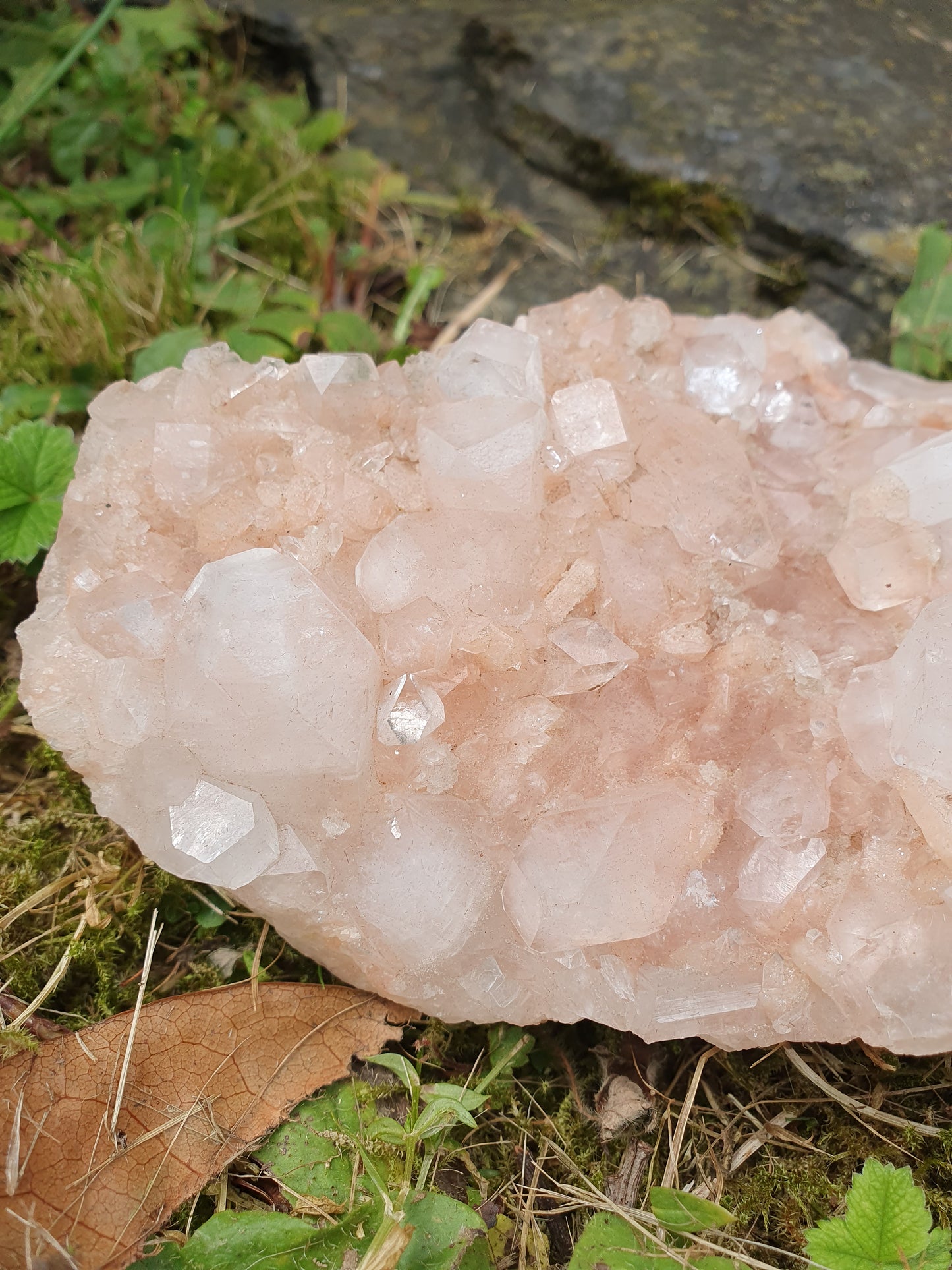 Sublime Apophyllite sur Heulandite rose