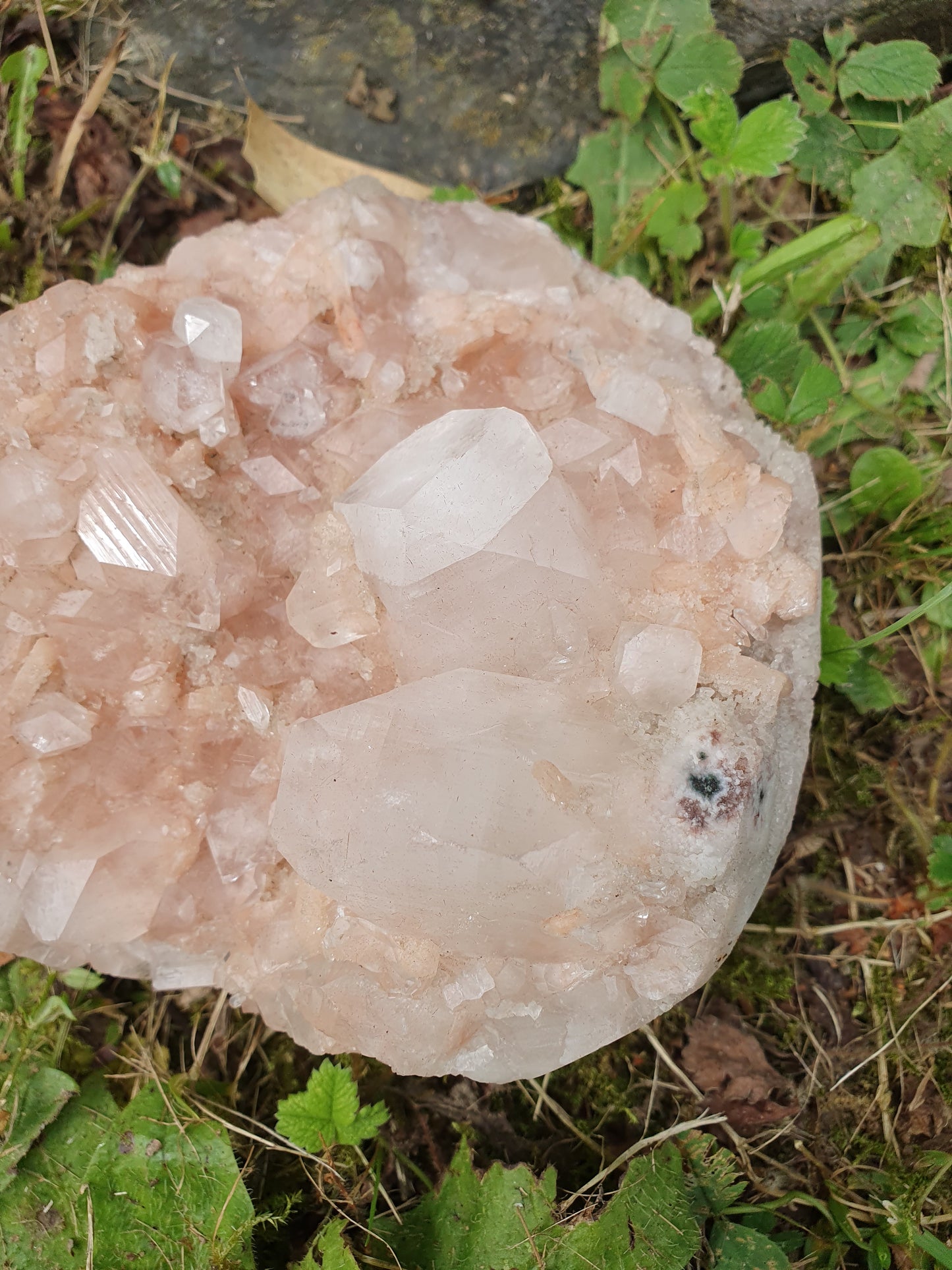 Sublime Apophyllite sur Heulandite rose