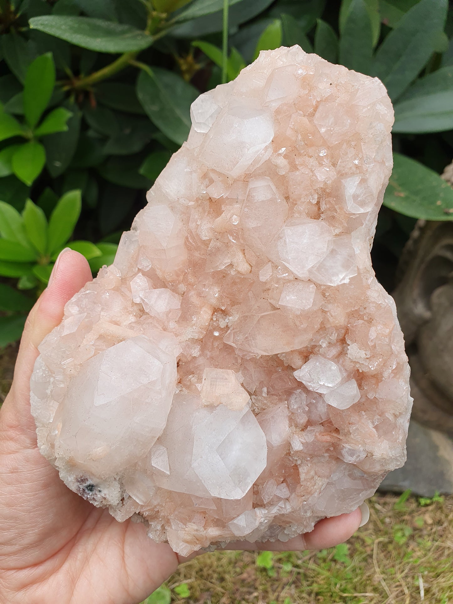Sublime Apophyllite sur Heulandite rose