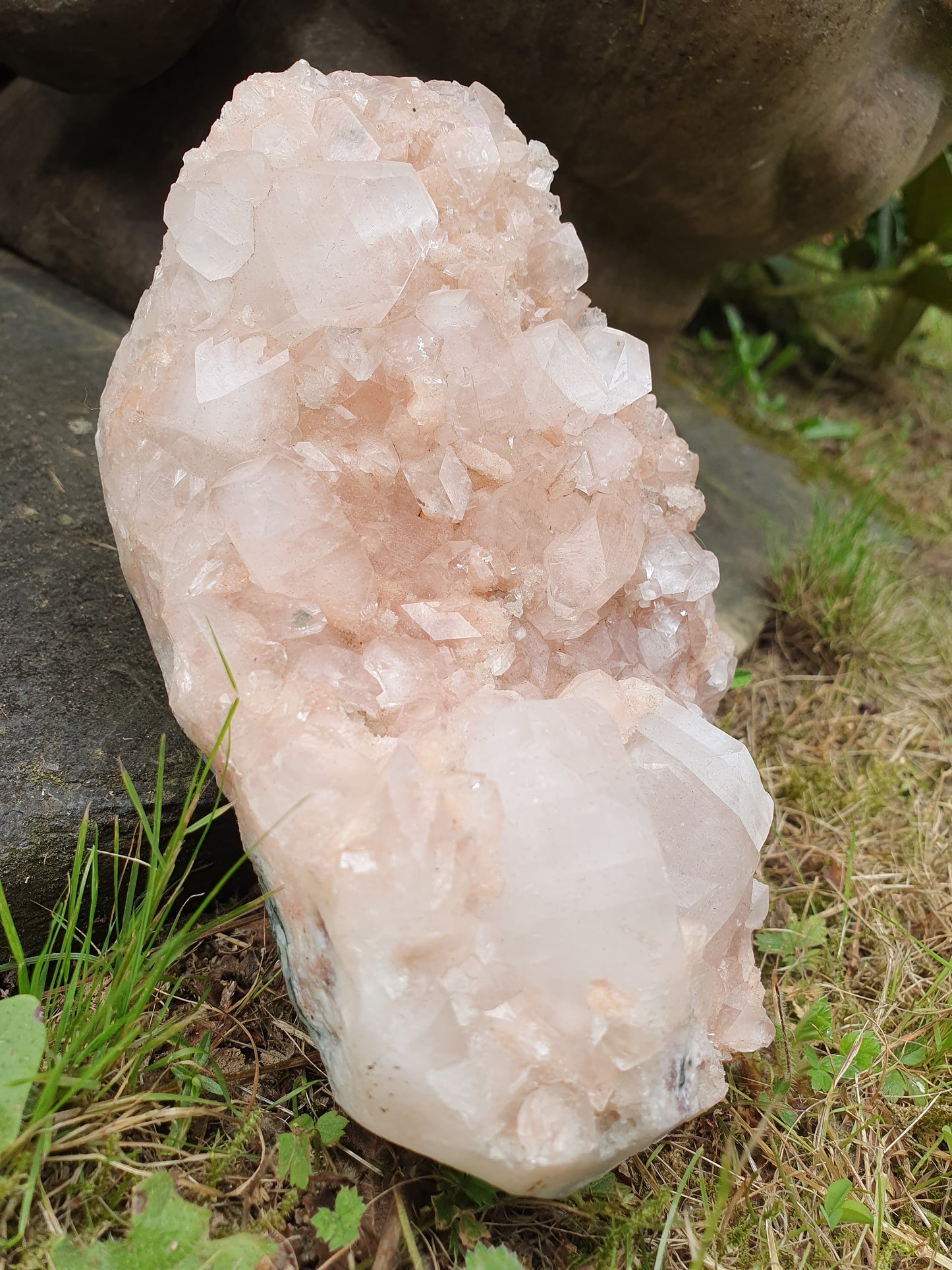 Sublime Apophyllite sur Heulandite rose