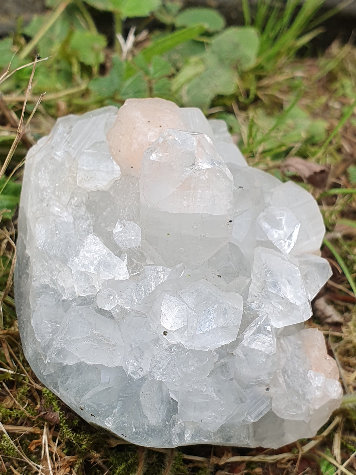 Apophyllite et stilbite sur Calcédoine A7